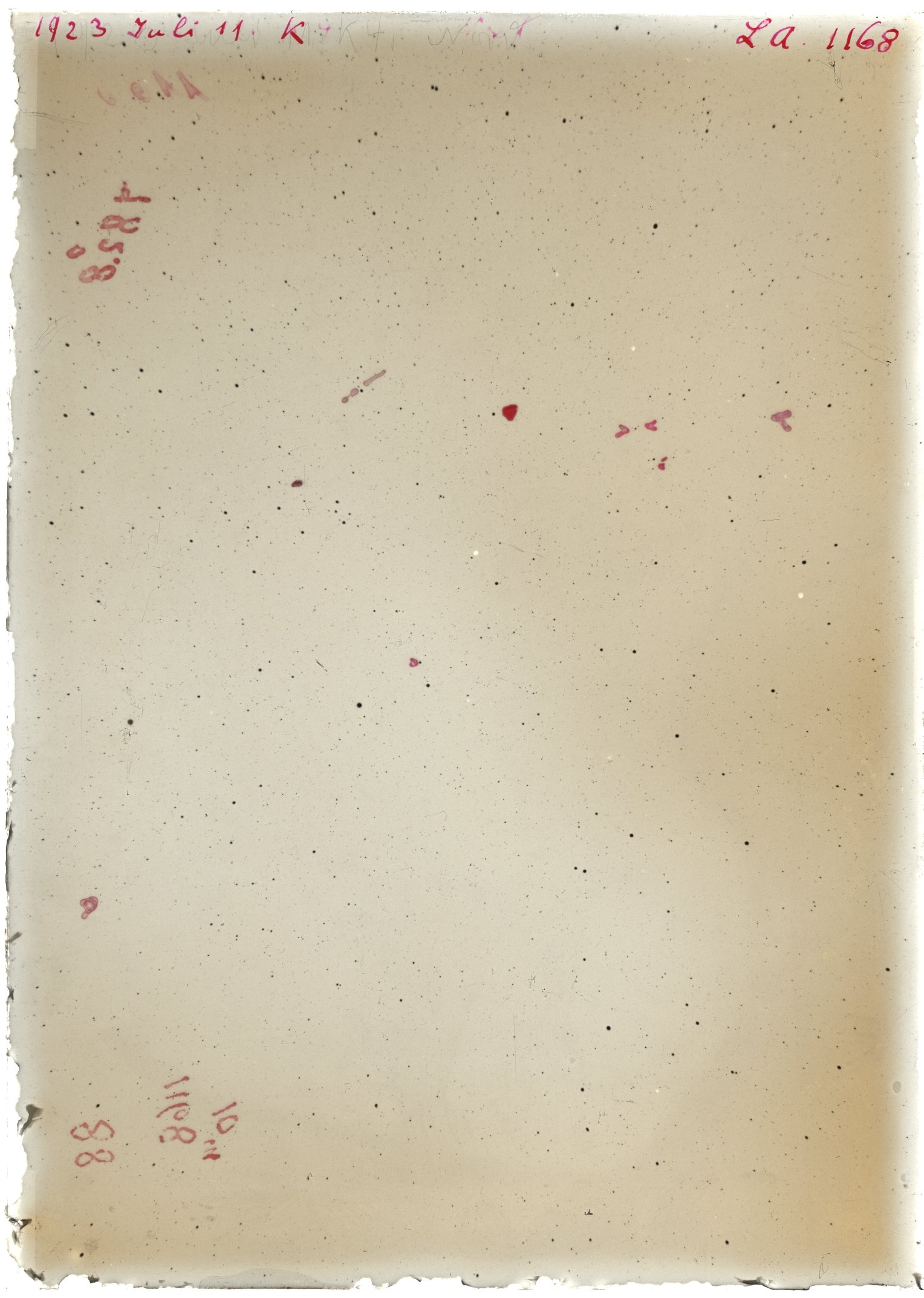 Scan LA01168