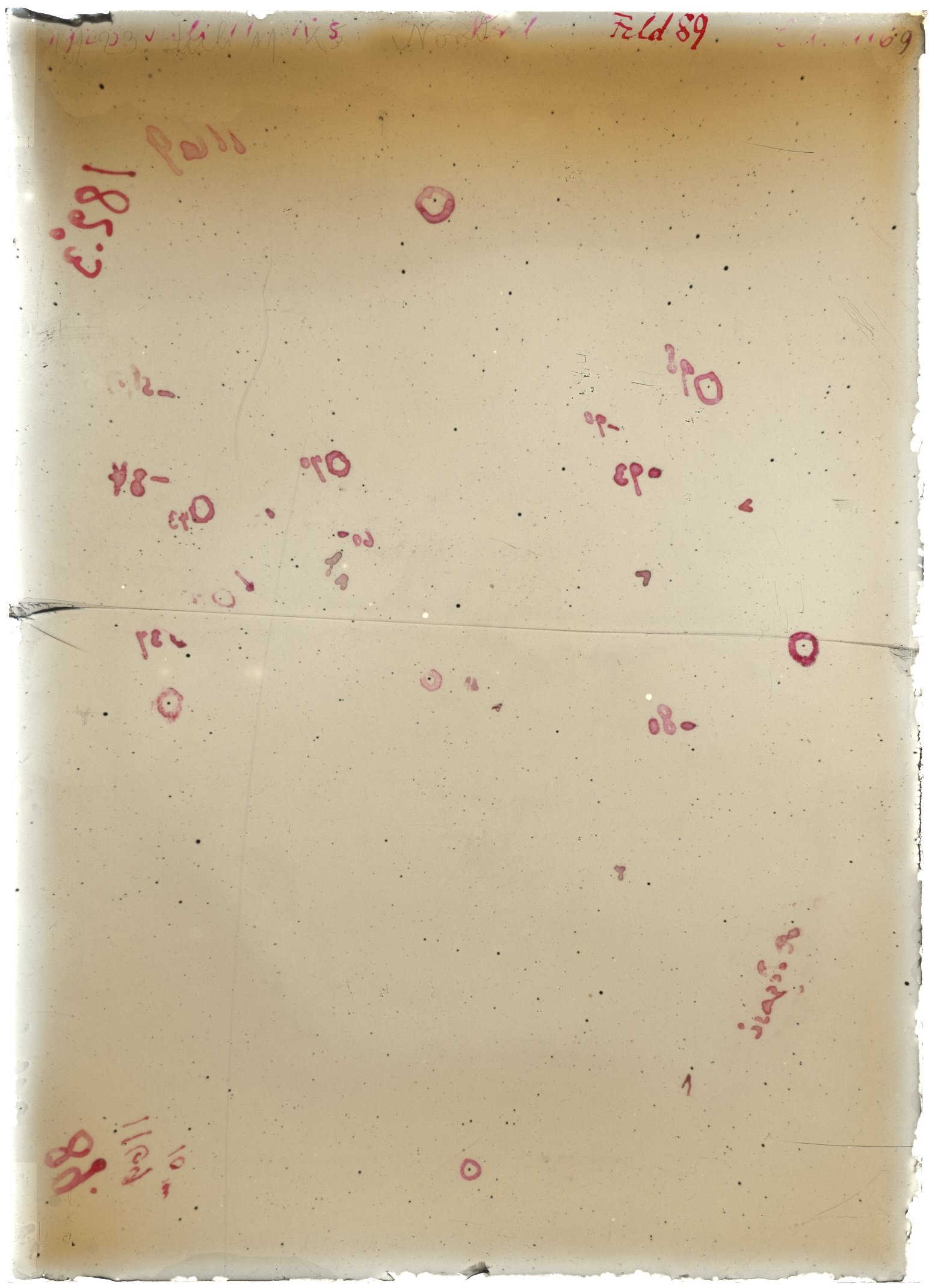 Scan LA01169