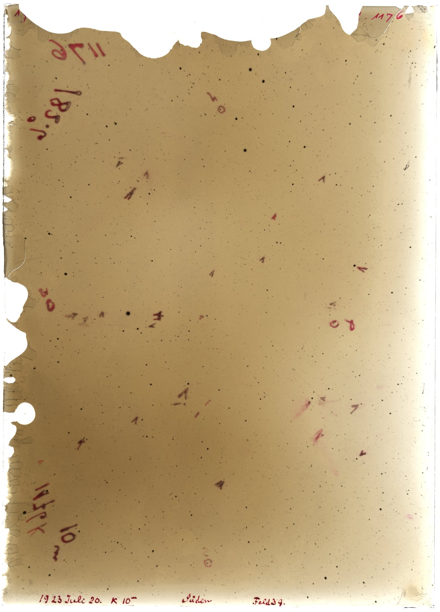Scan LA01176