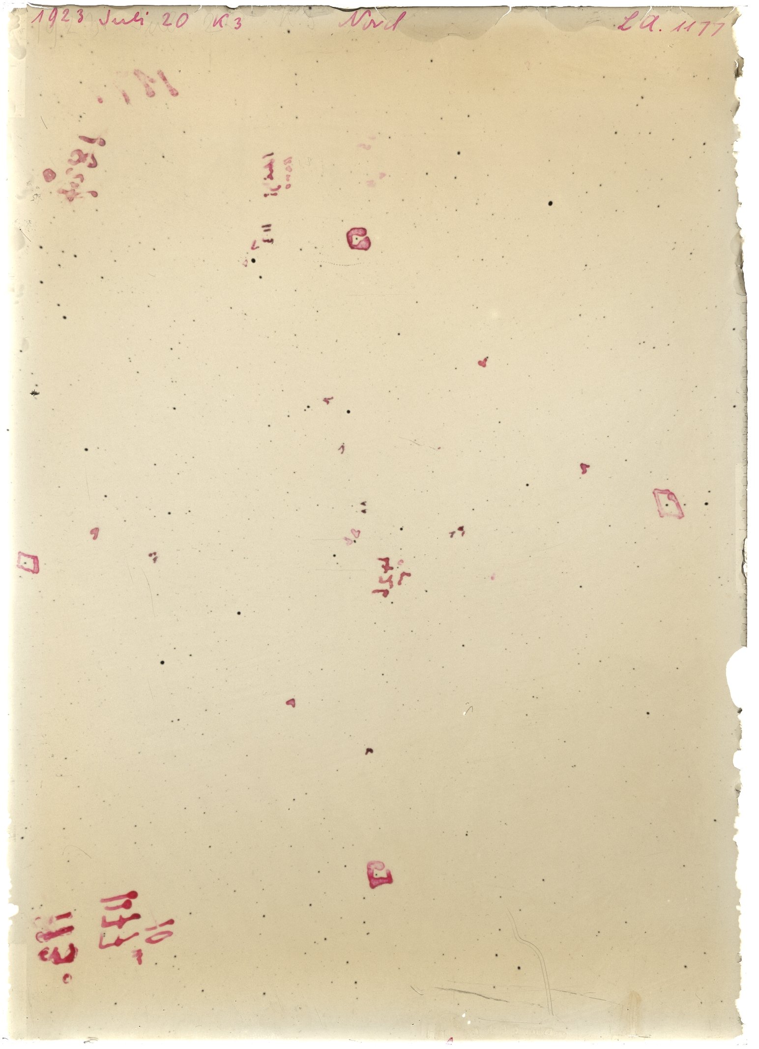 Scan LA01177