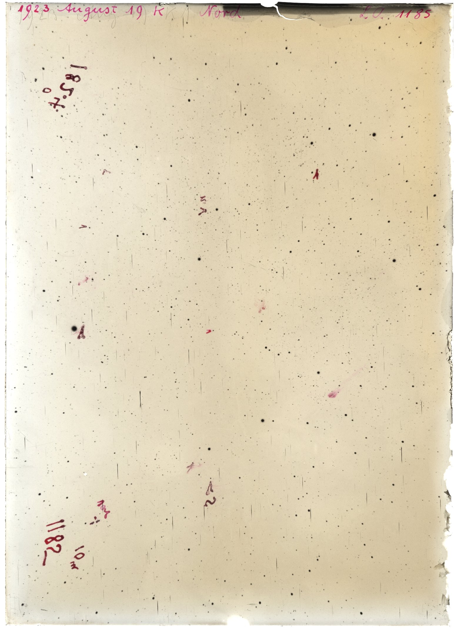 Scan LA01185