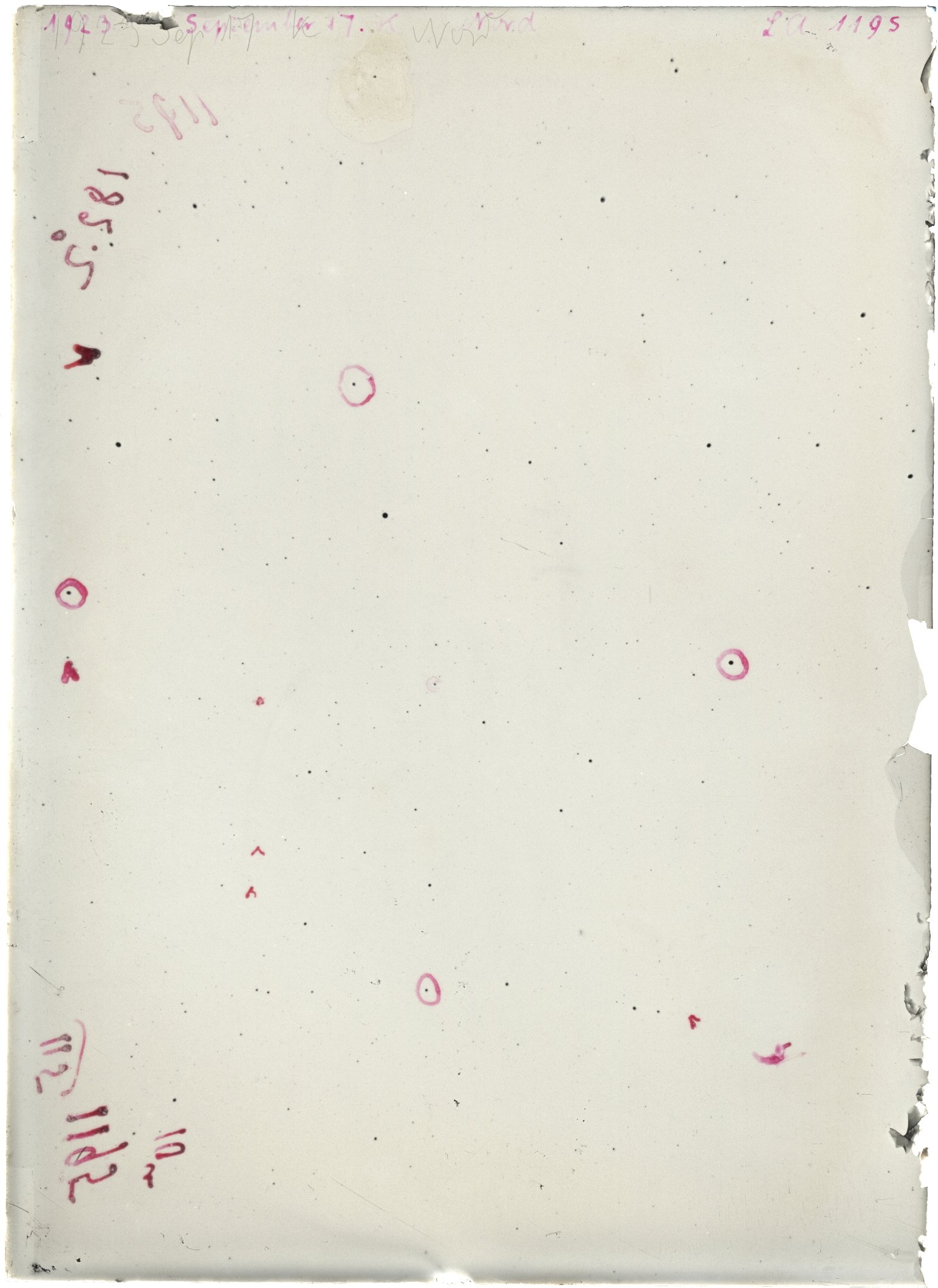 Scan LA01195