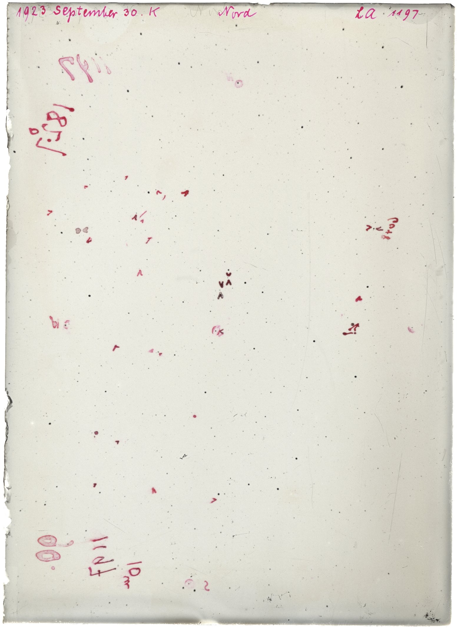 Scan LA01197