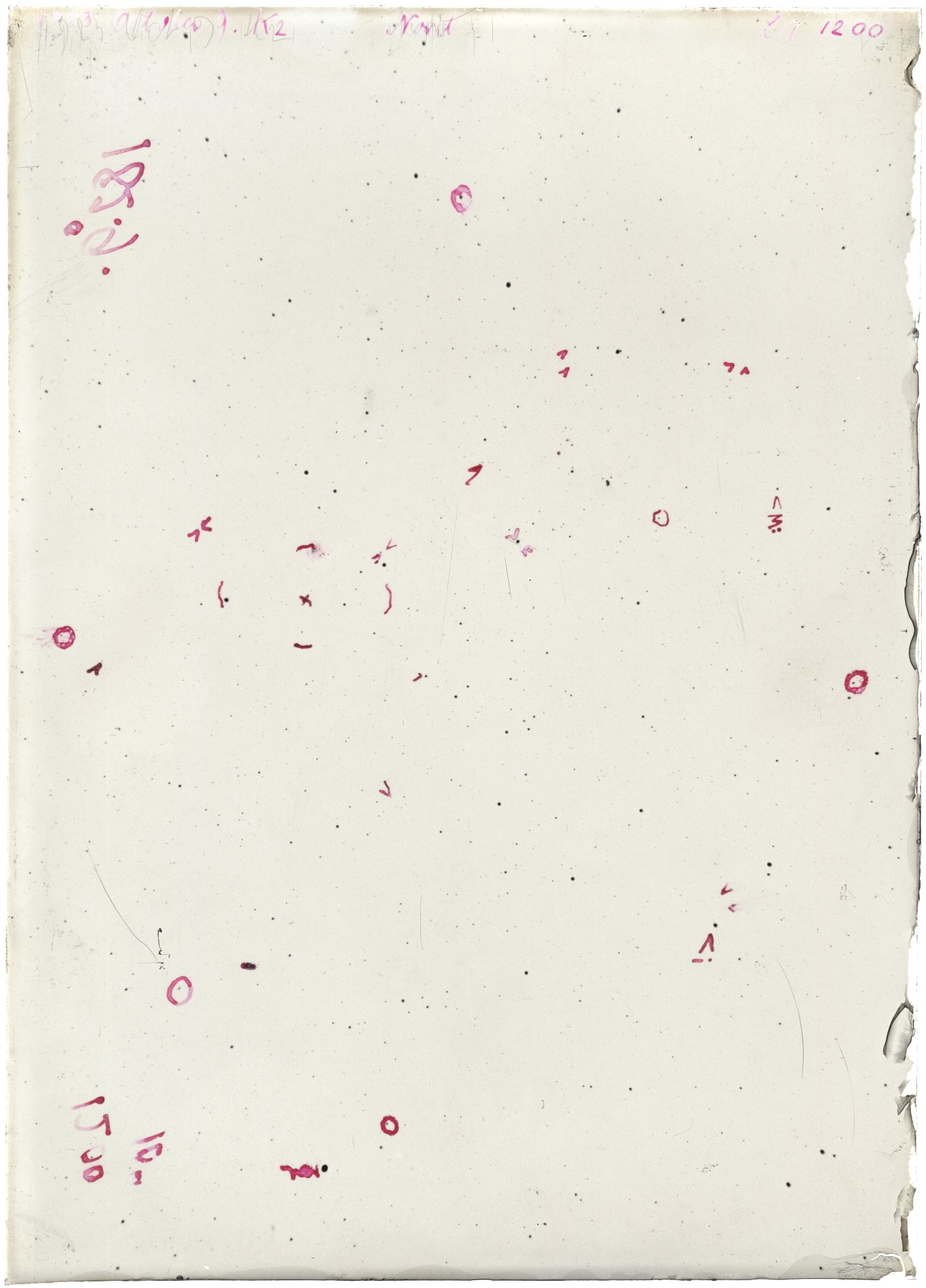 Scan LA01200