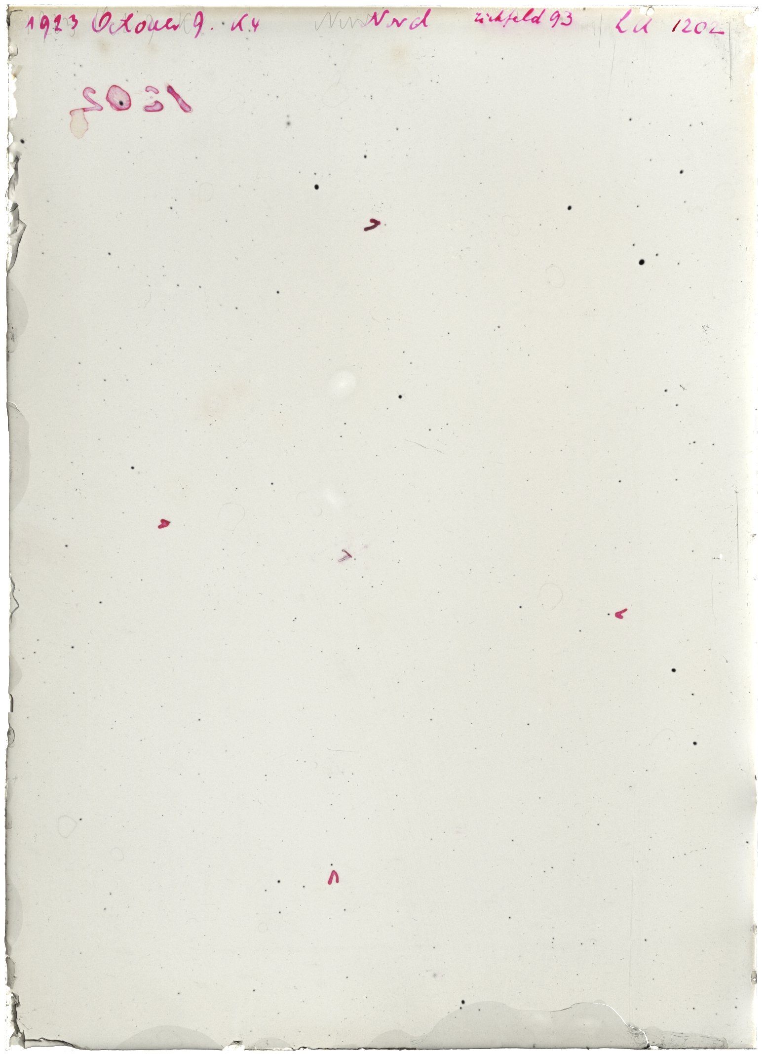 Scan LA01202