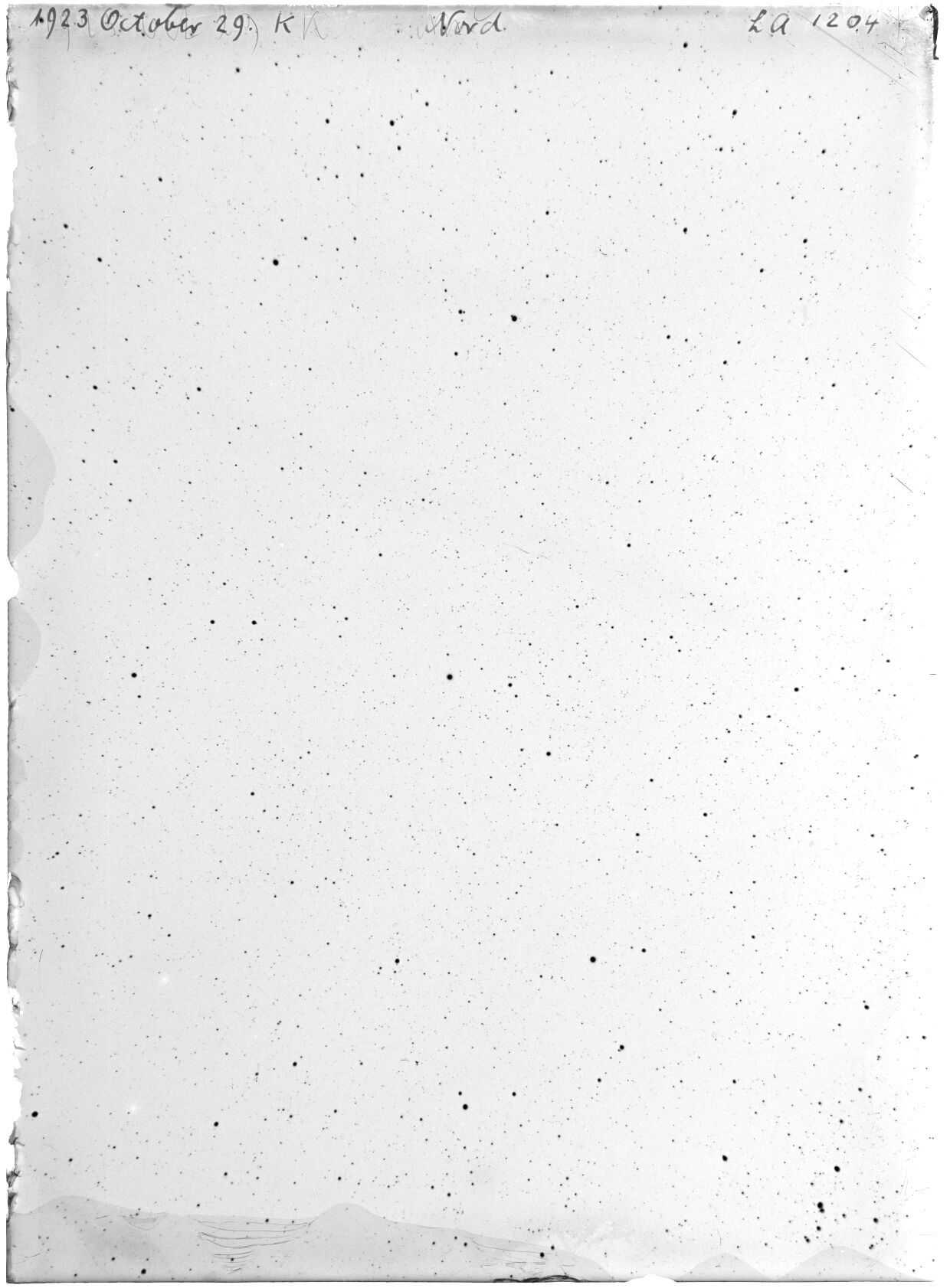 Scan LA01204