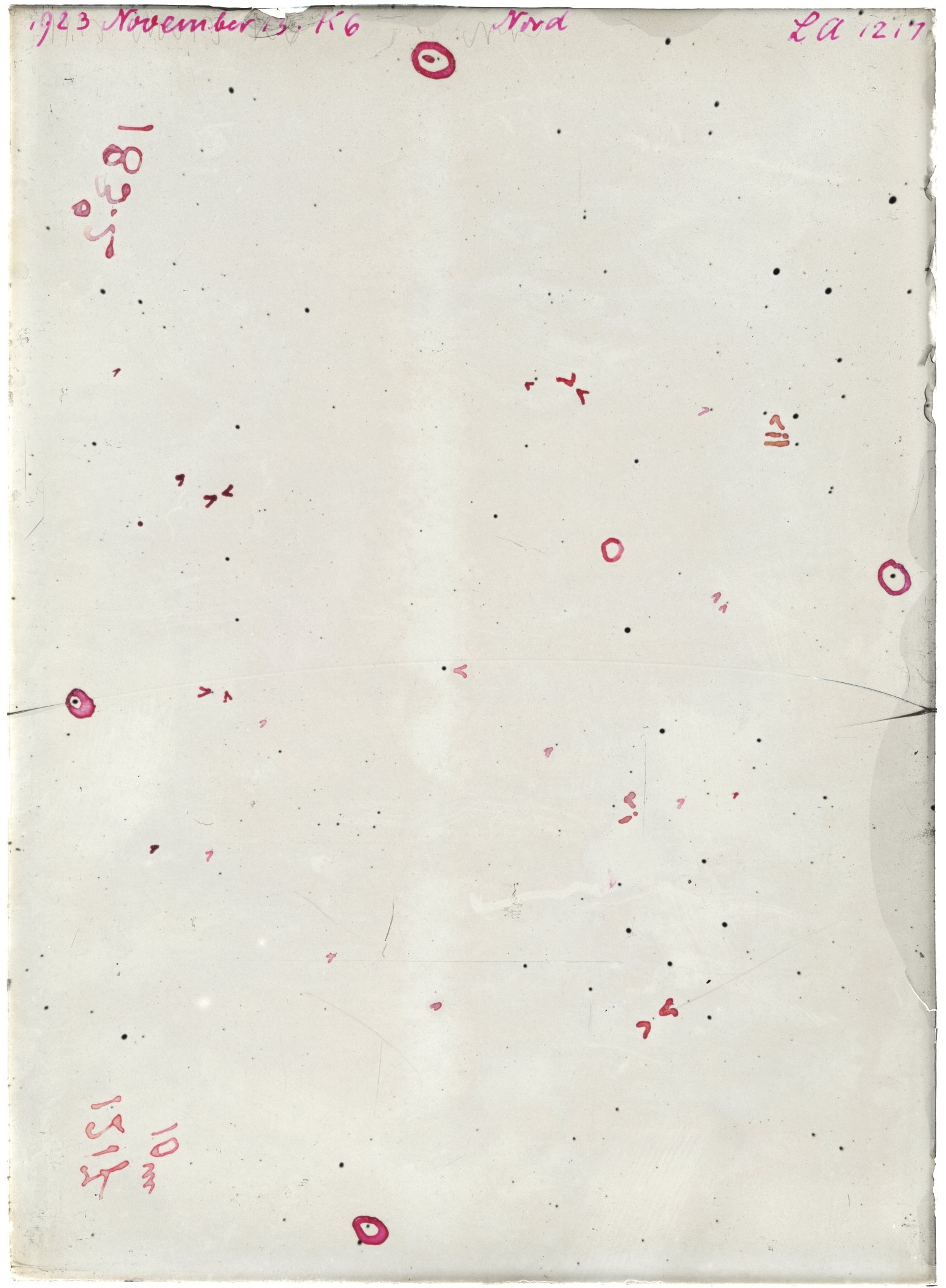 Scan LA01217