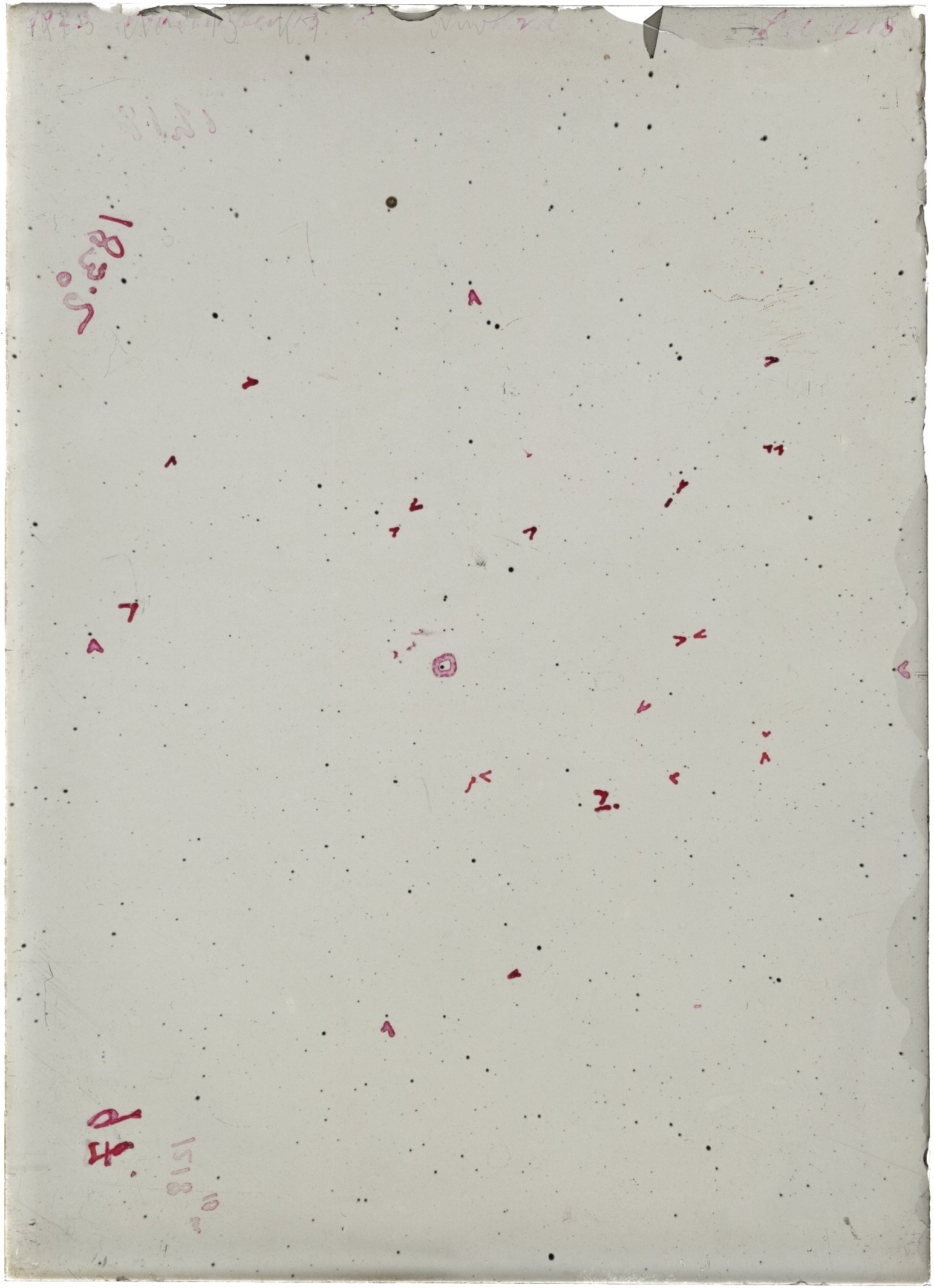 Scan LA01218