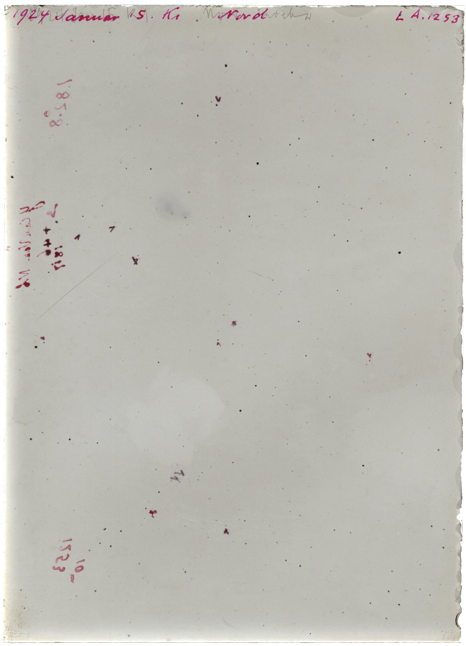 Scan LA01253