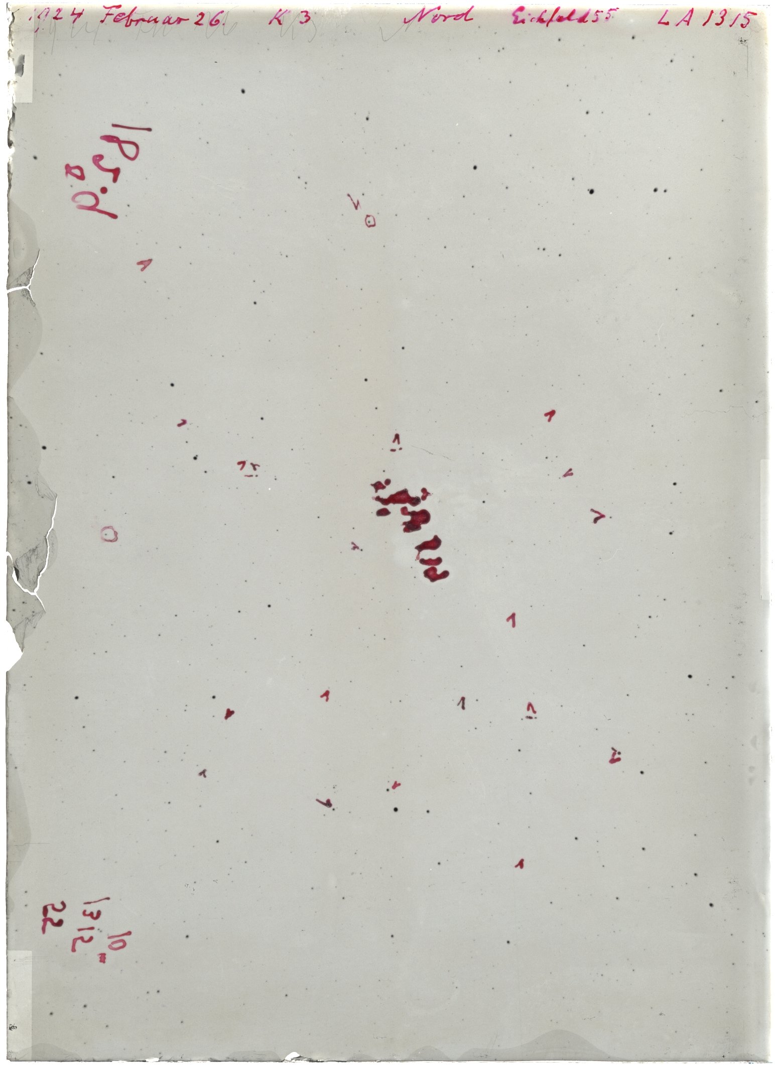 Scan LA01315