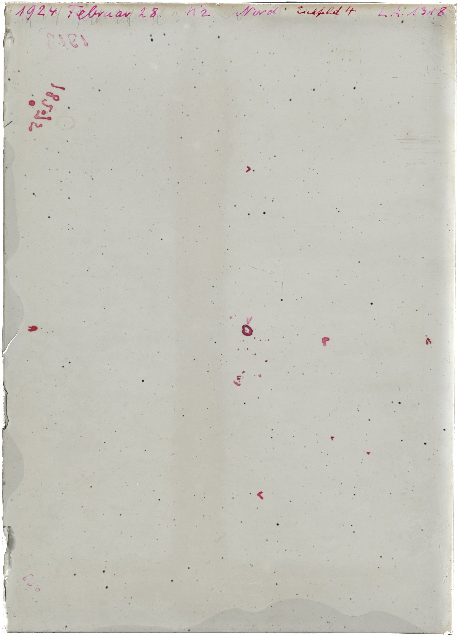 Scan LA01318