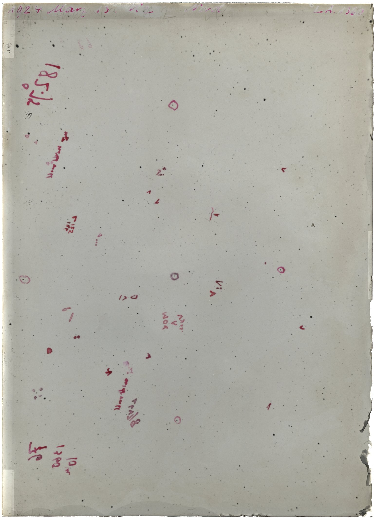 Scan LA01360