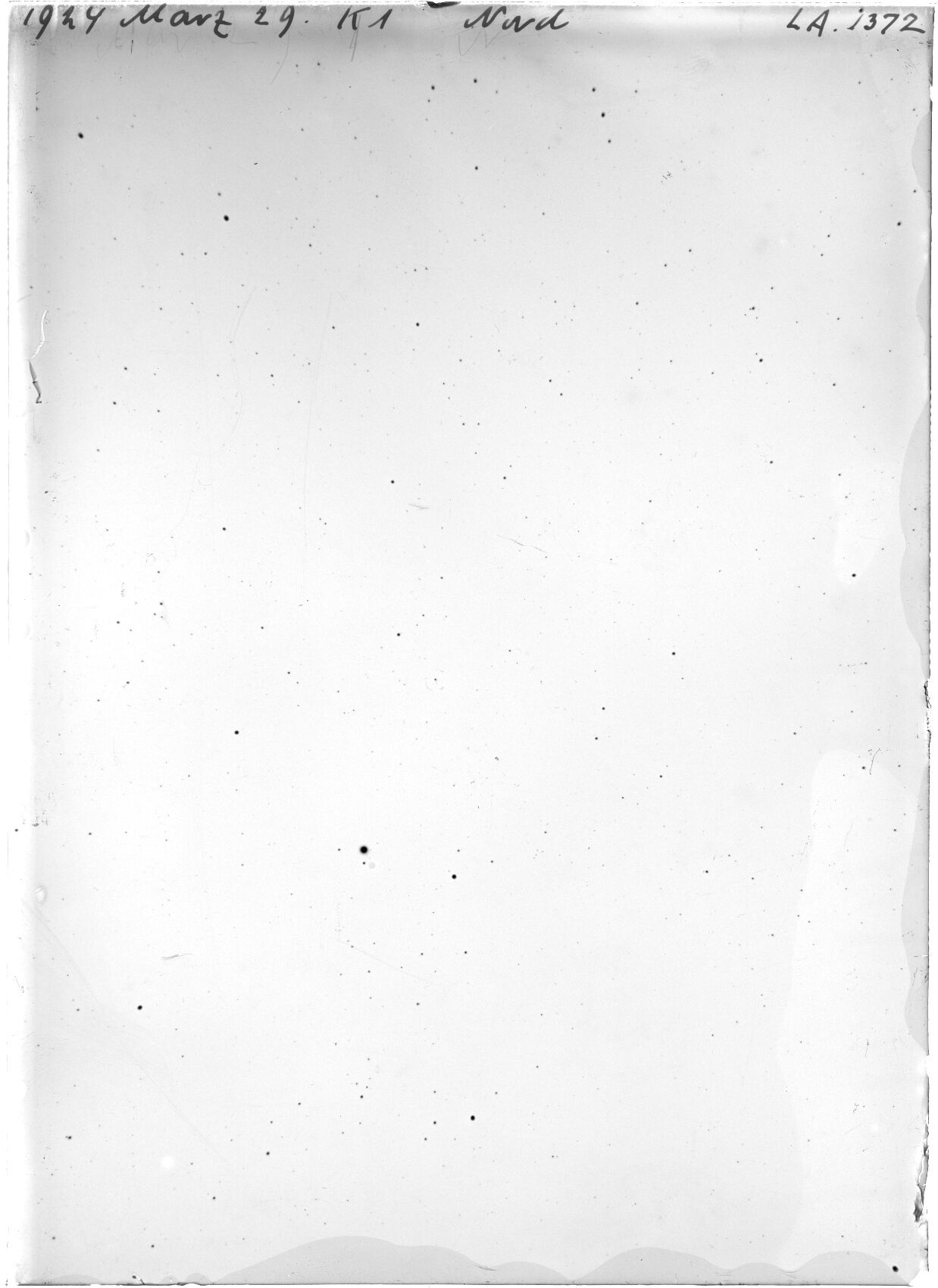 Scan LA01372
