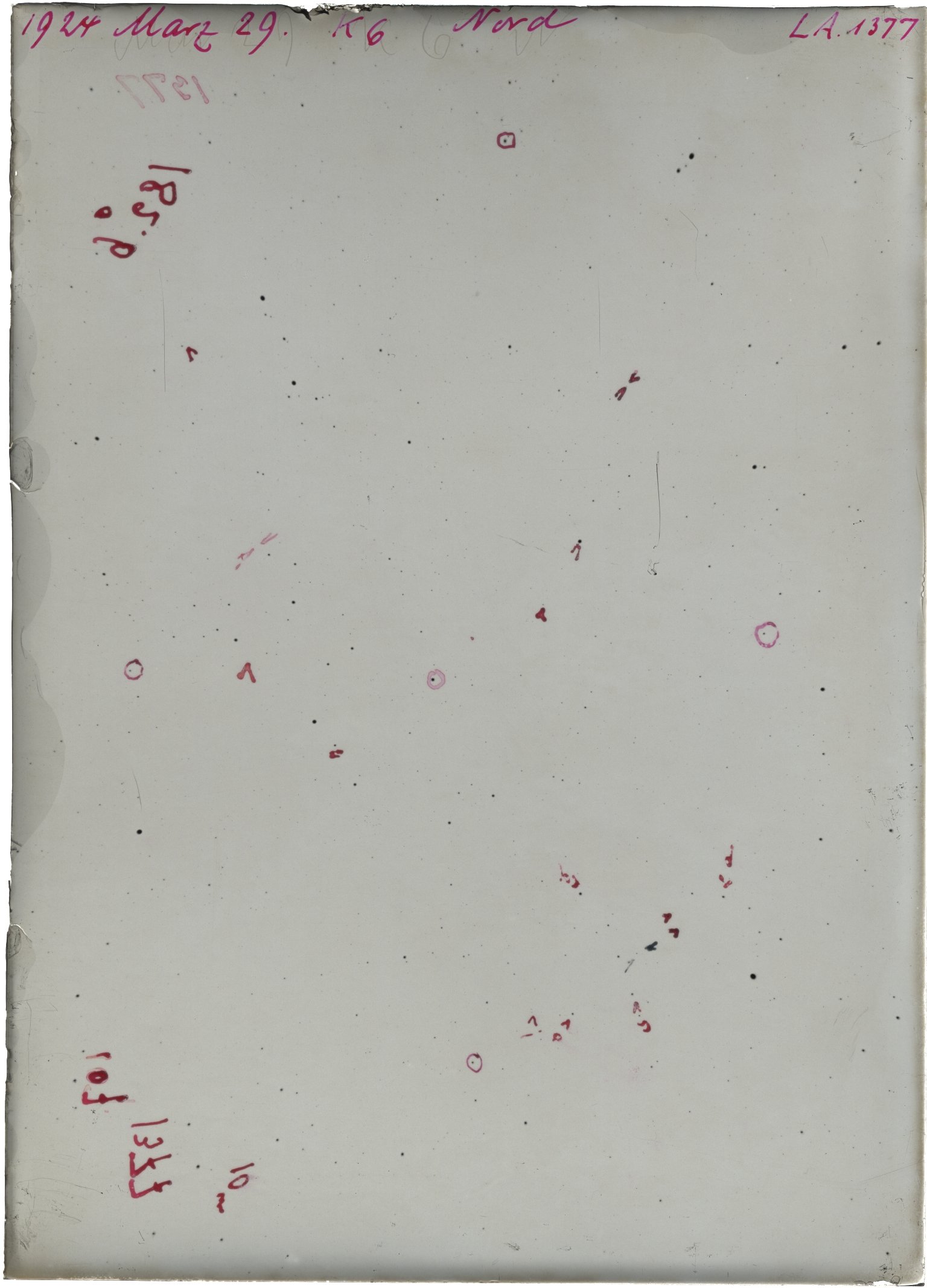 Scan LA01377