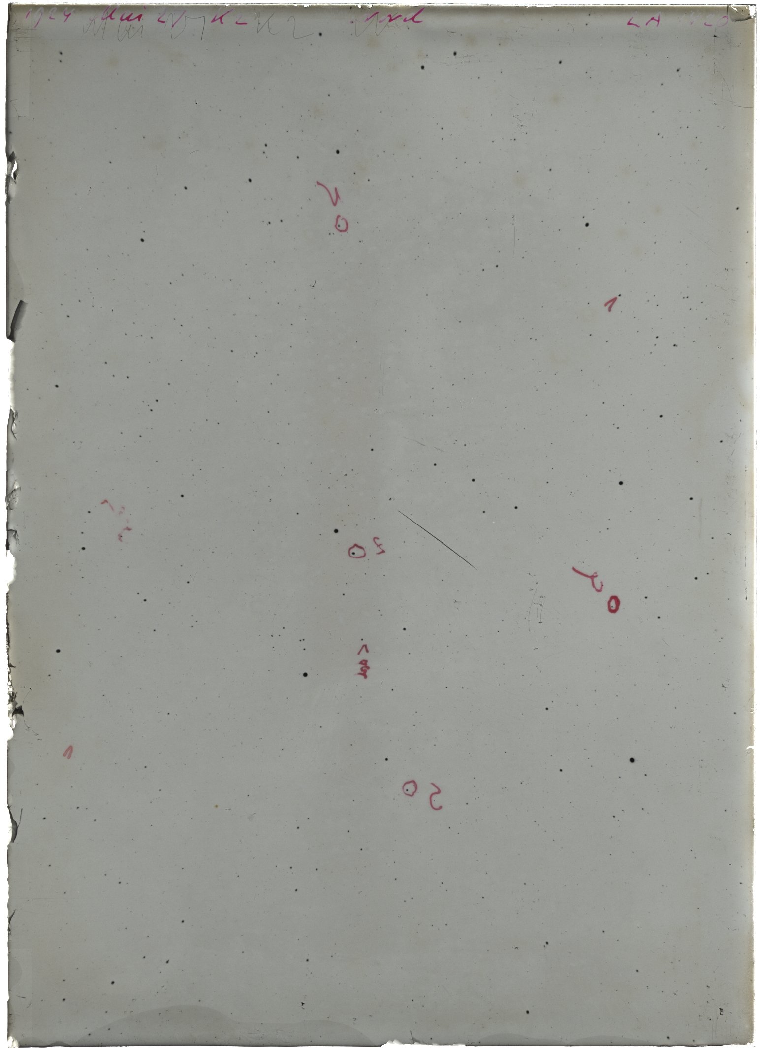 Scan LA01420