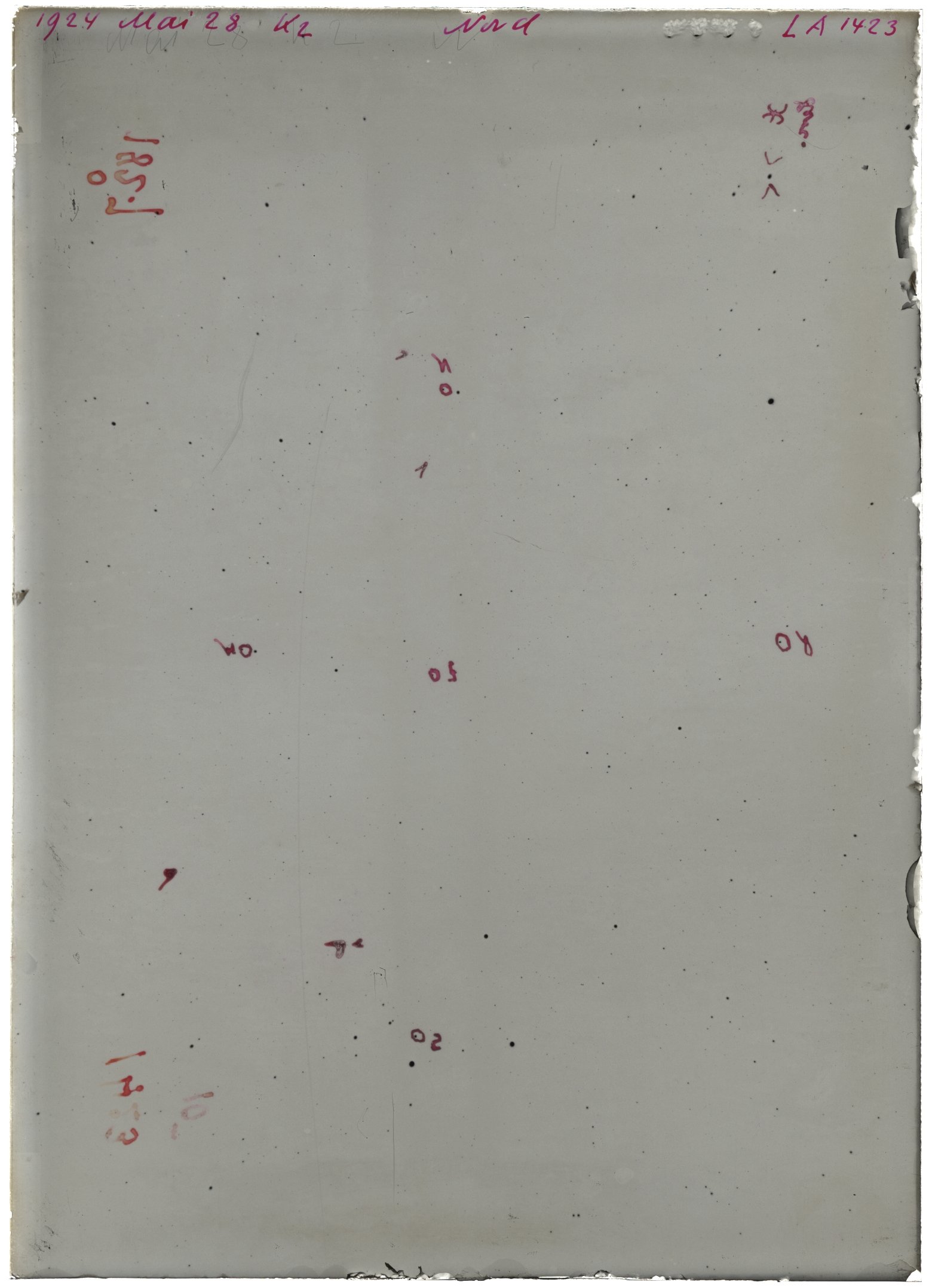 Scan LA01423
