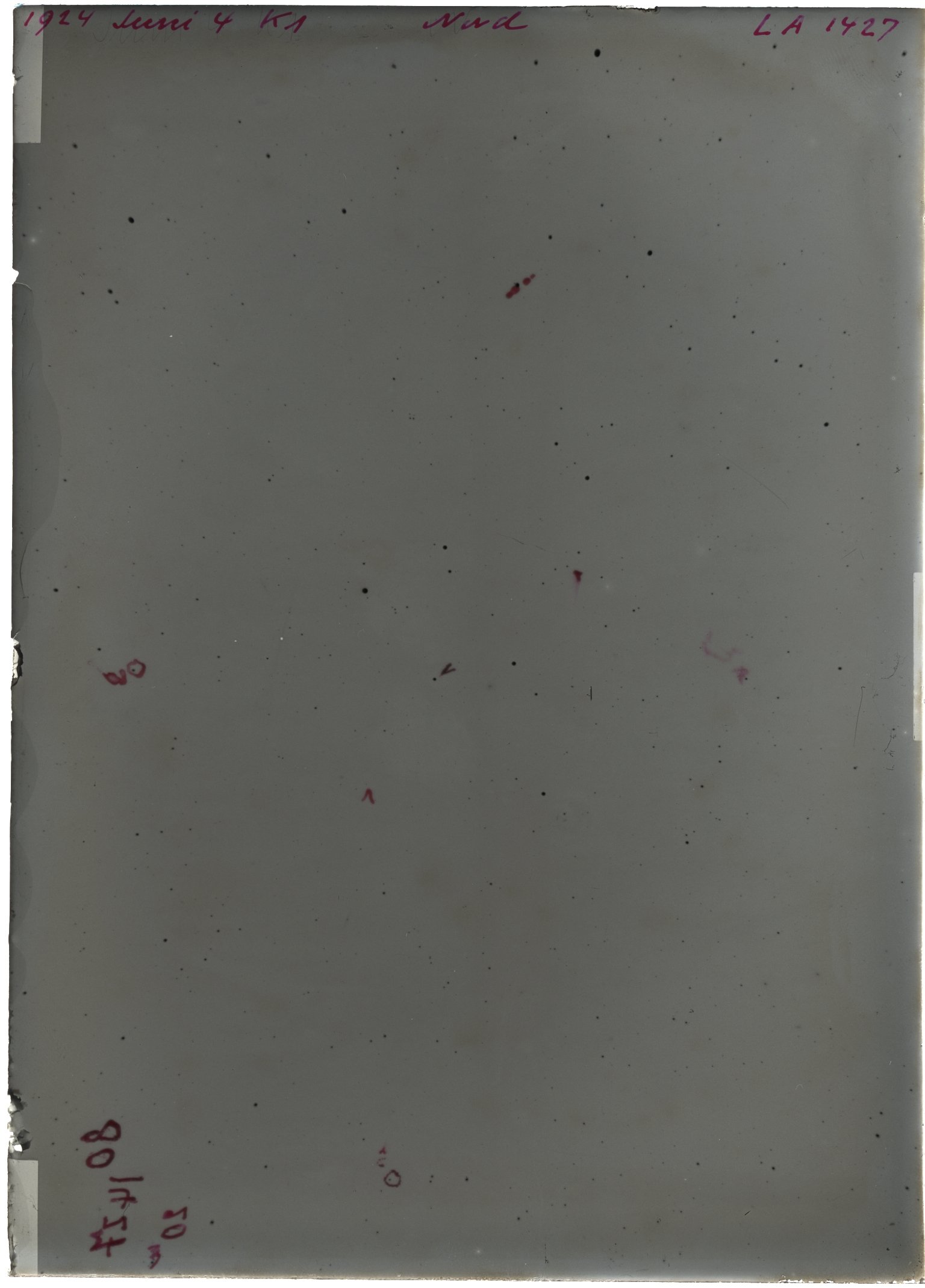 Scan LA01427