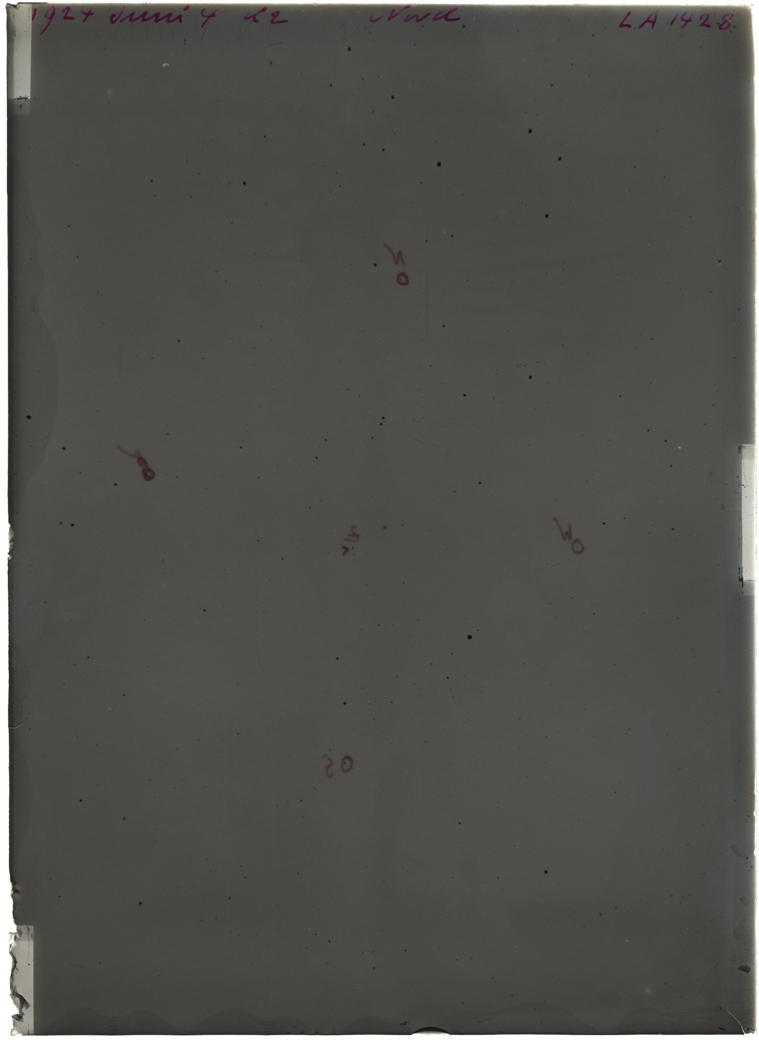 Scan LA01428