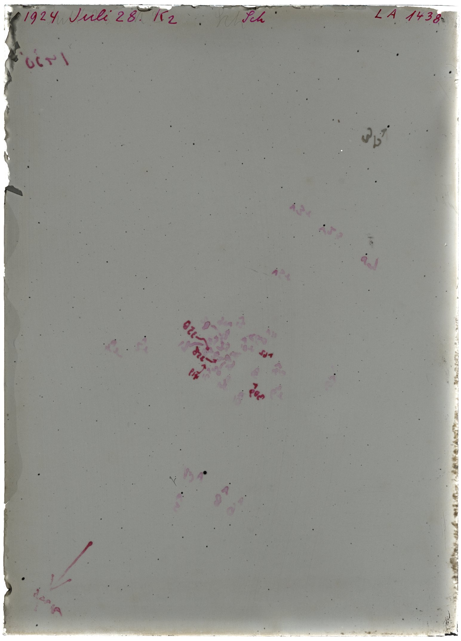 Scan LA01438