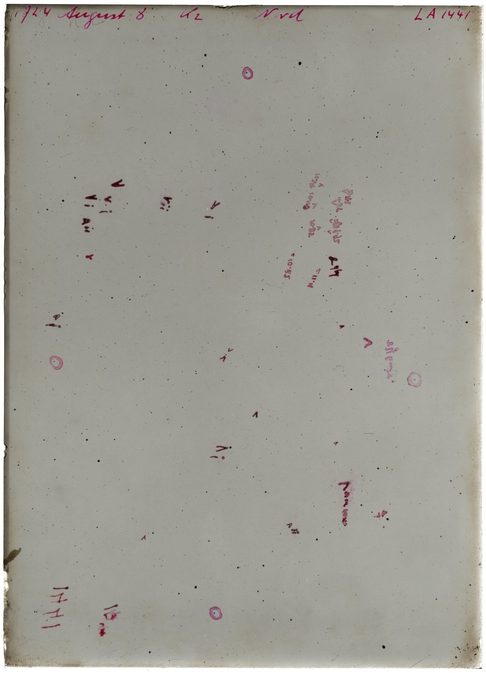 Scan LA01441