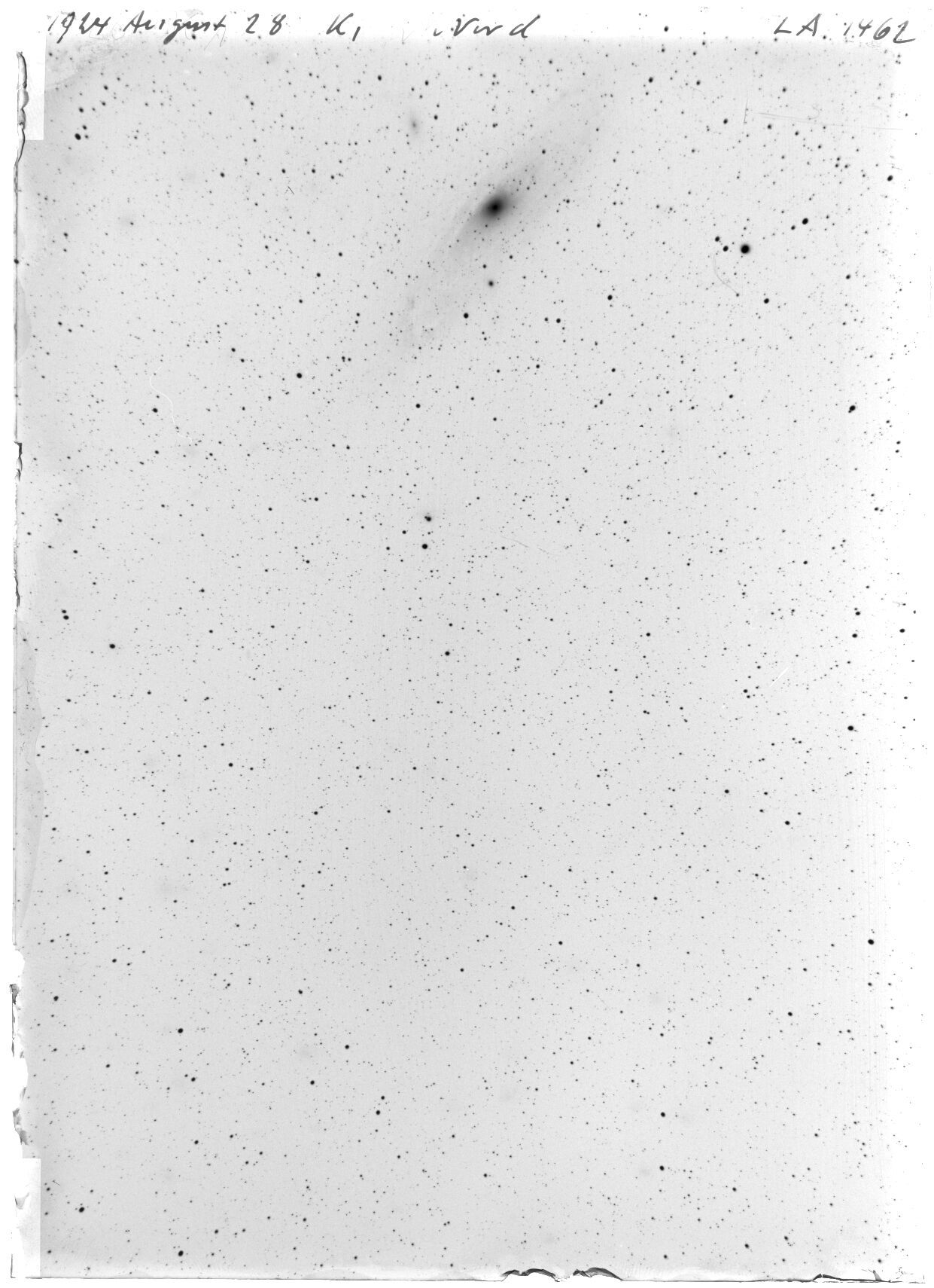 Scan LA01462