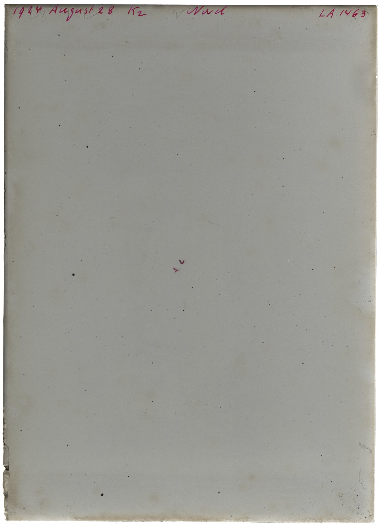 Scan LA01463