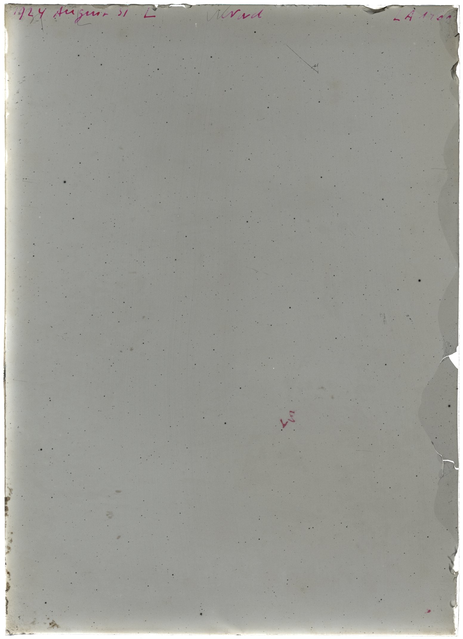 Scan LA01466