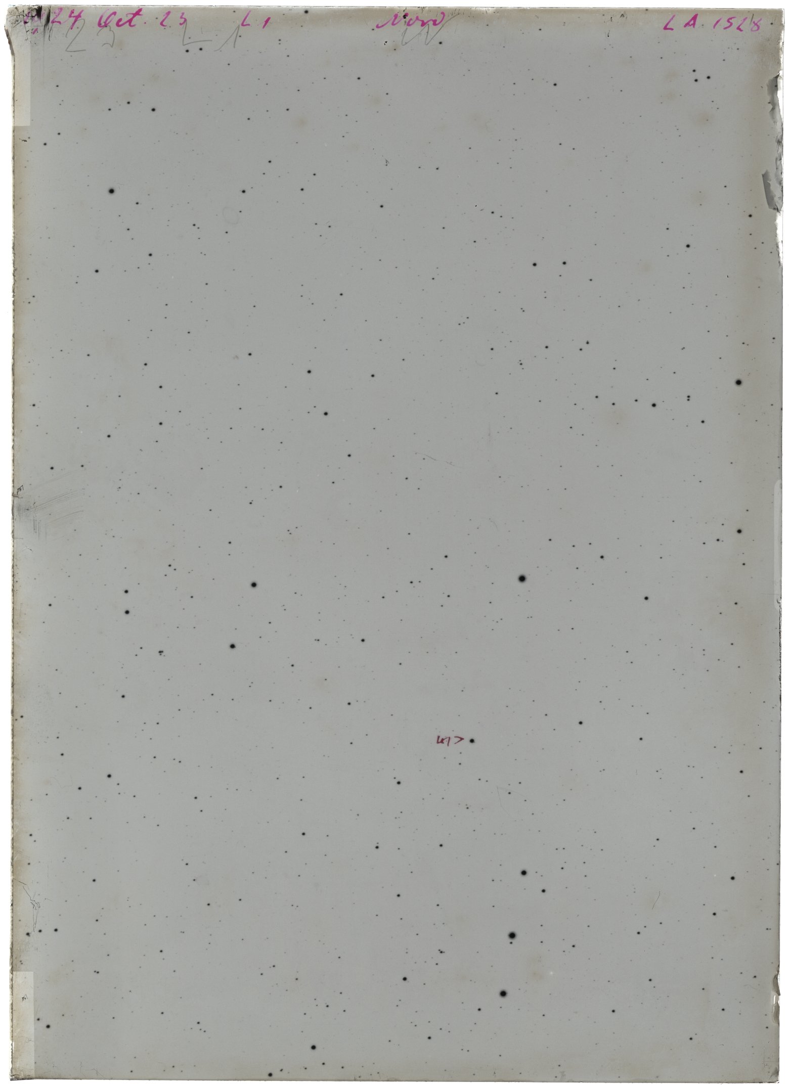 Scan LA01528
