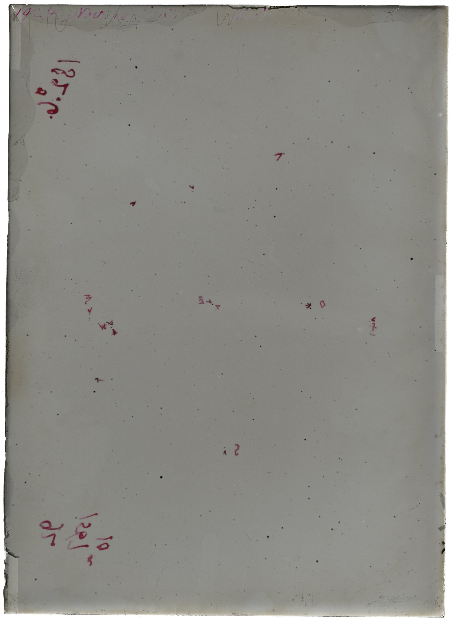 Scan LA01567