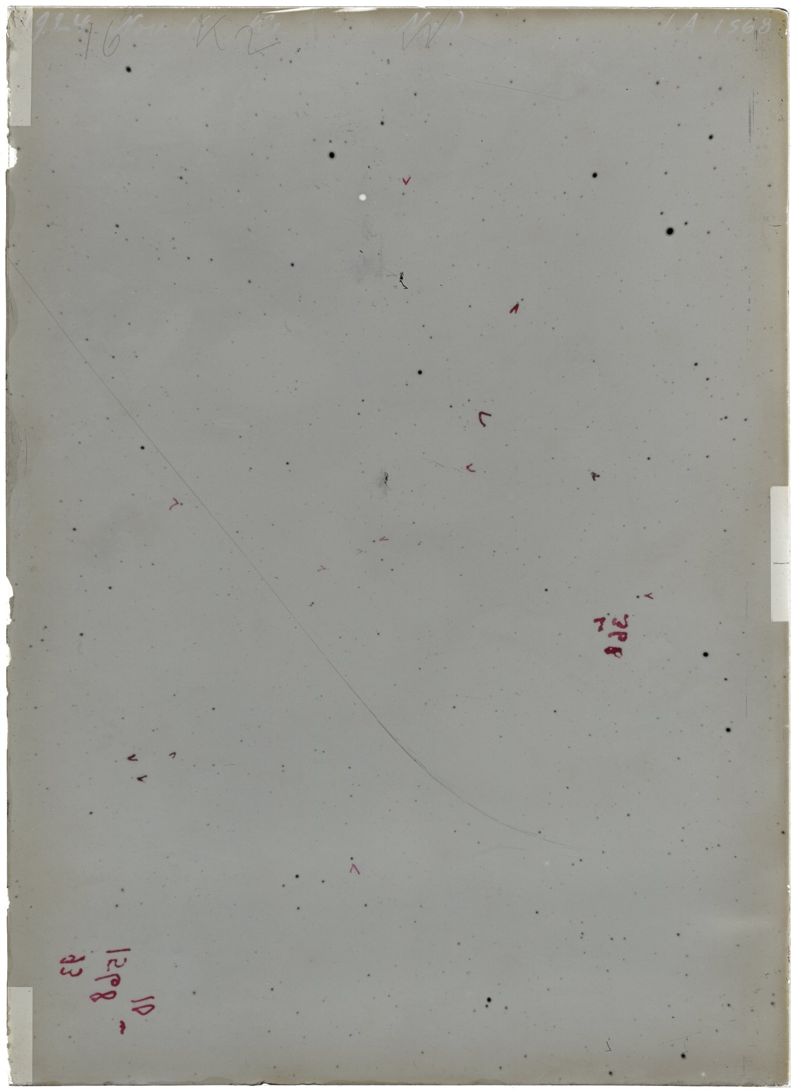 Scan LA01568