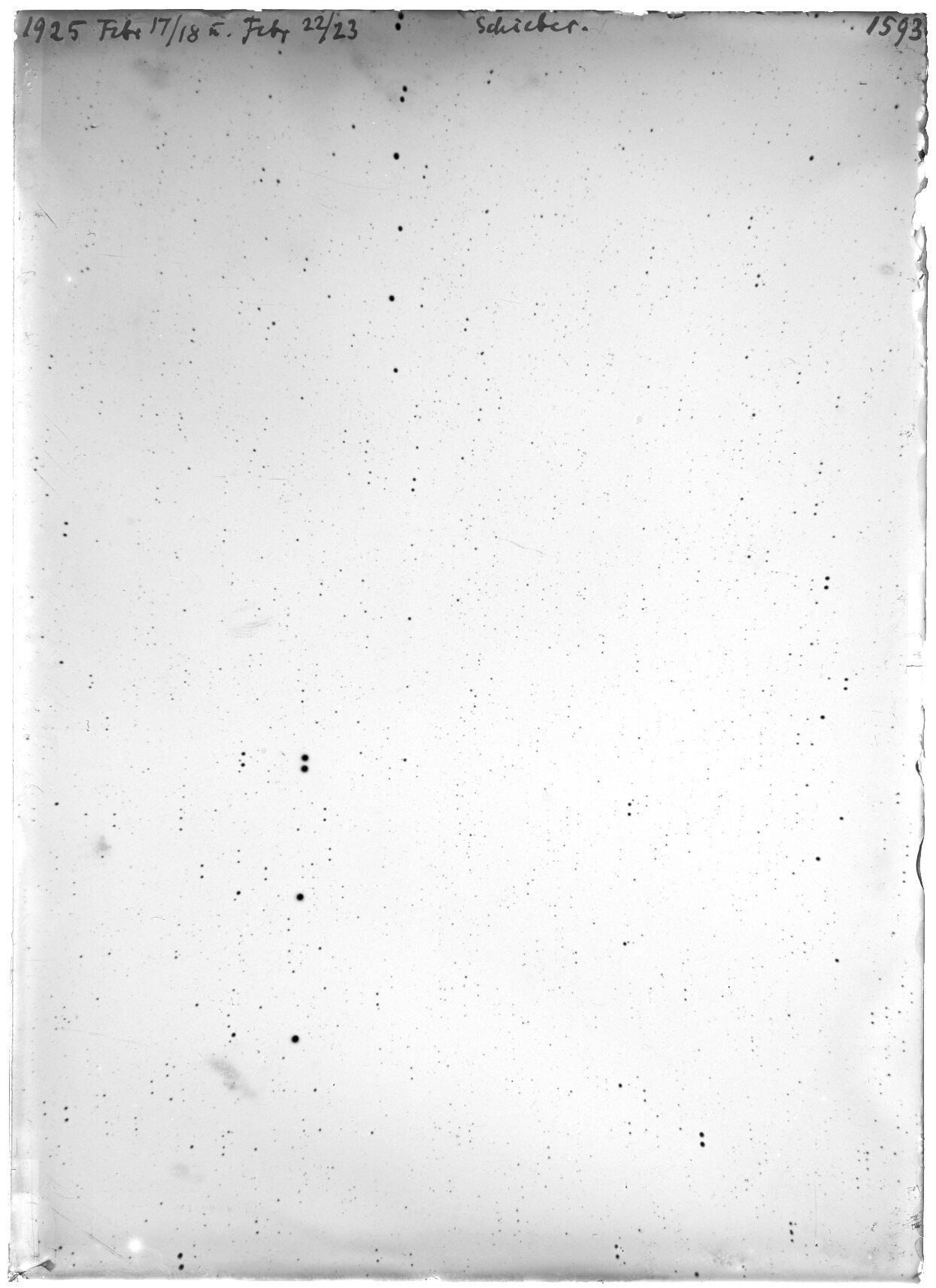 Scan LA01593