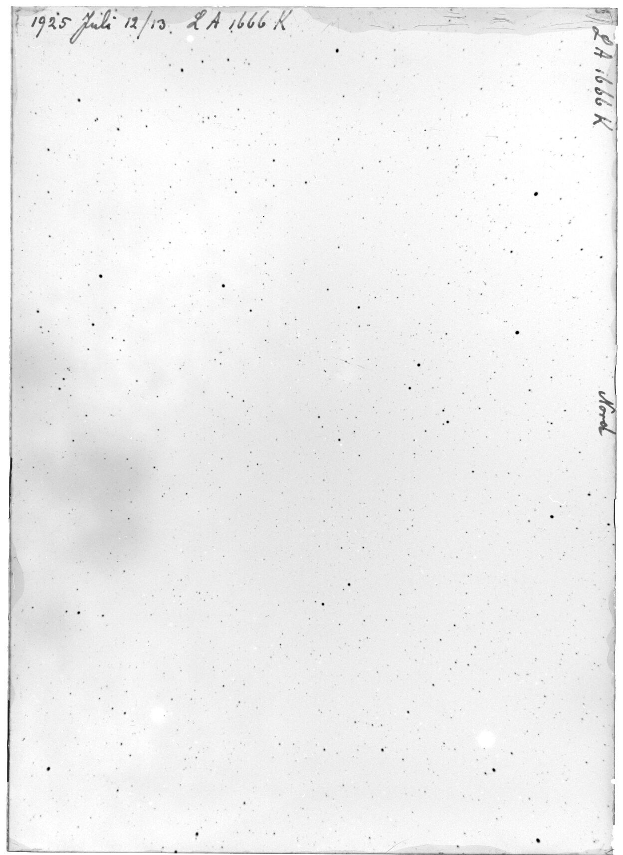 Scan LA01666