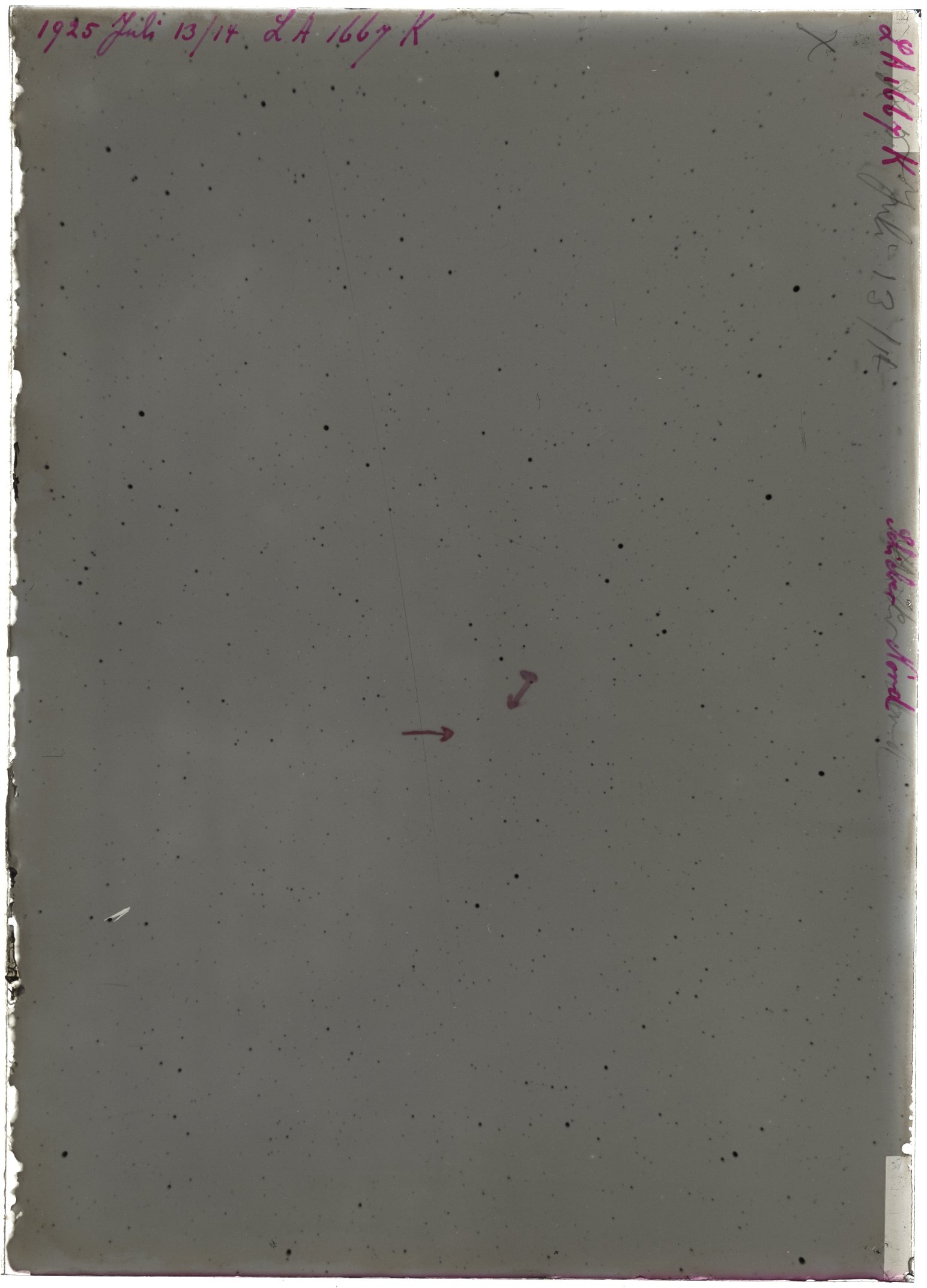 Scan LA01667