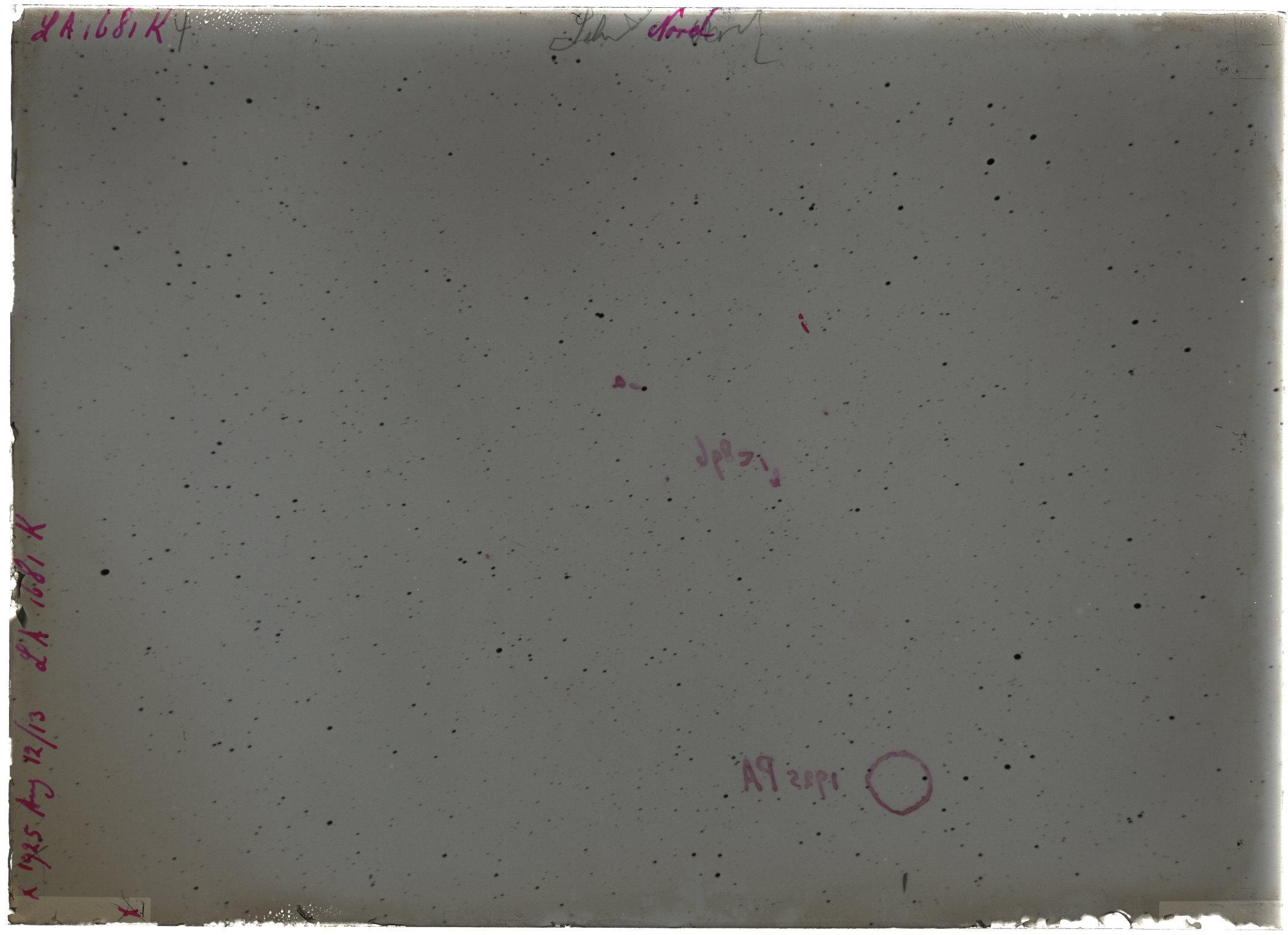 Scan LA01681