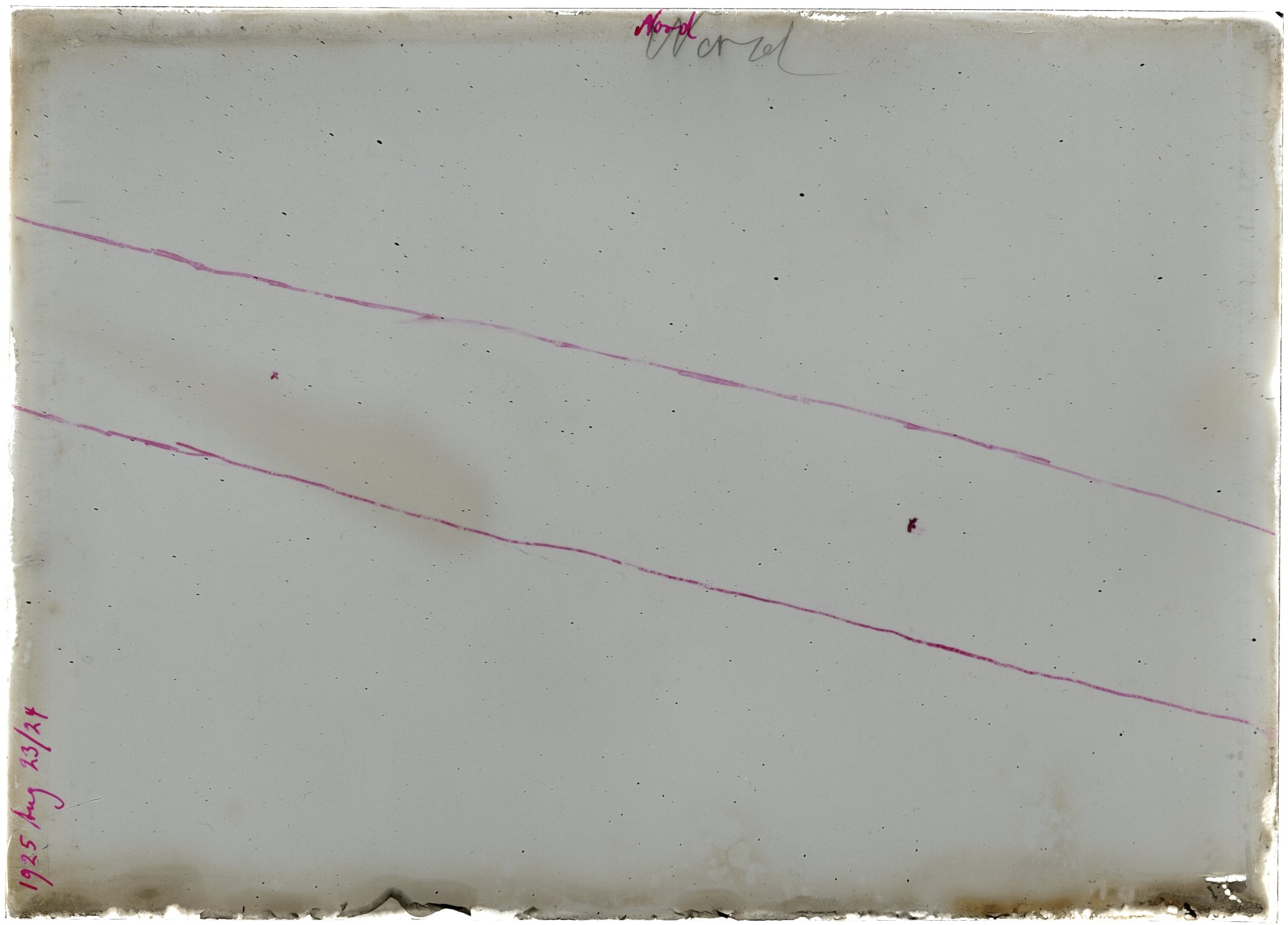 Scan LA01686
