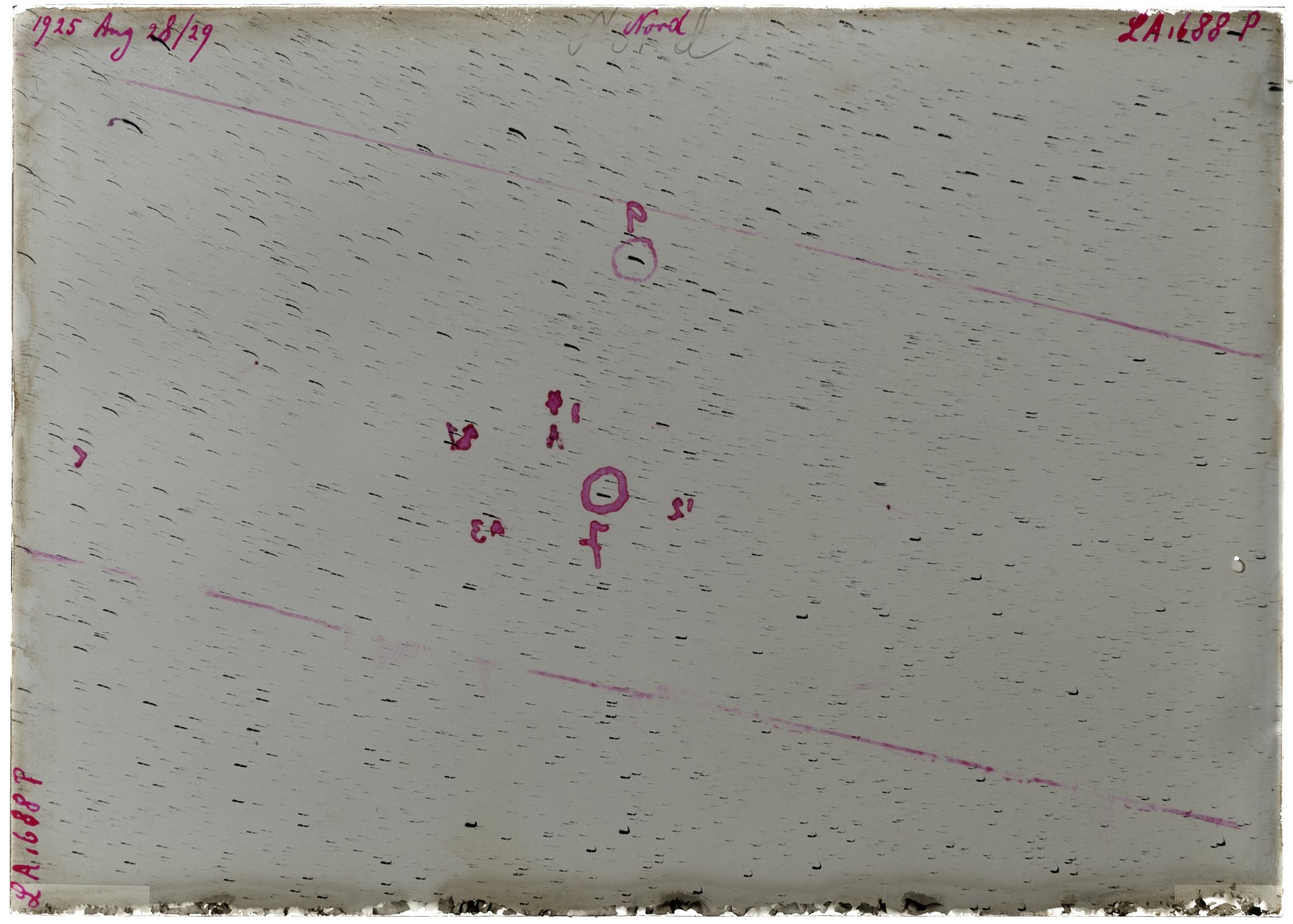 Scan LA01688