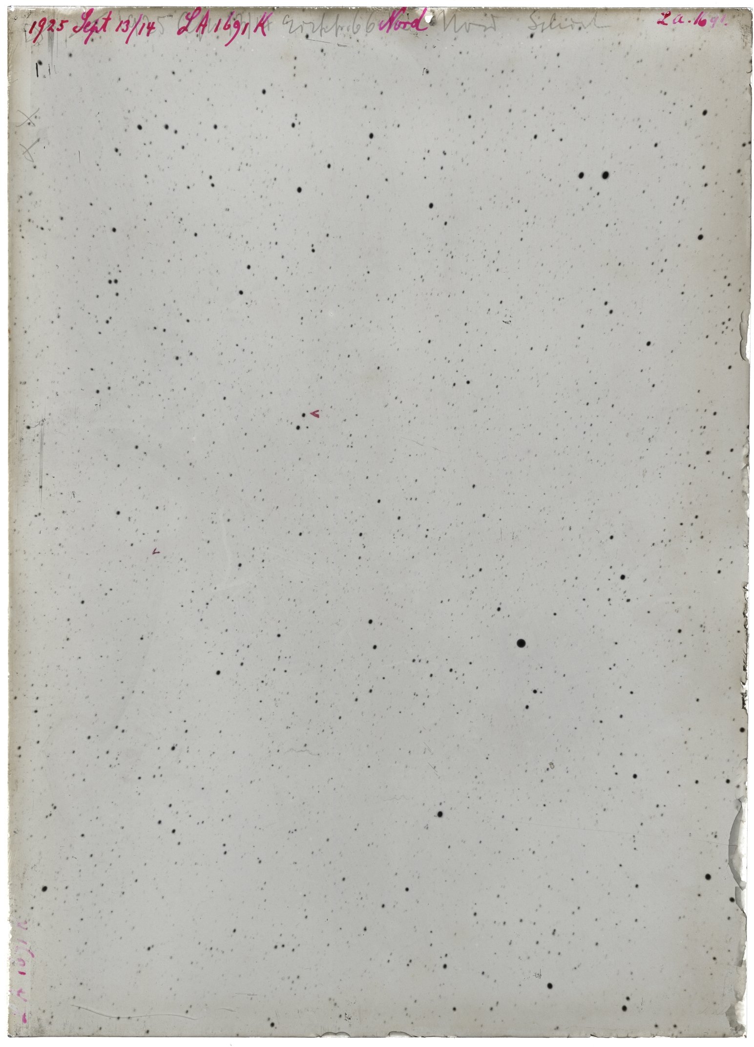Scan LA01691