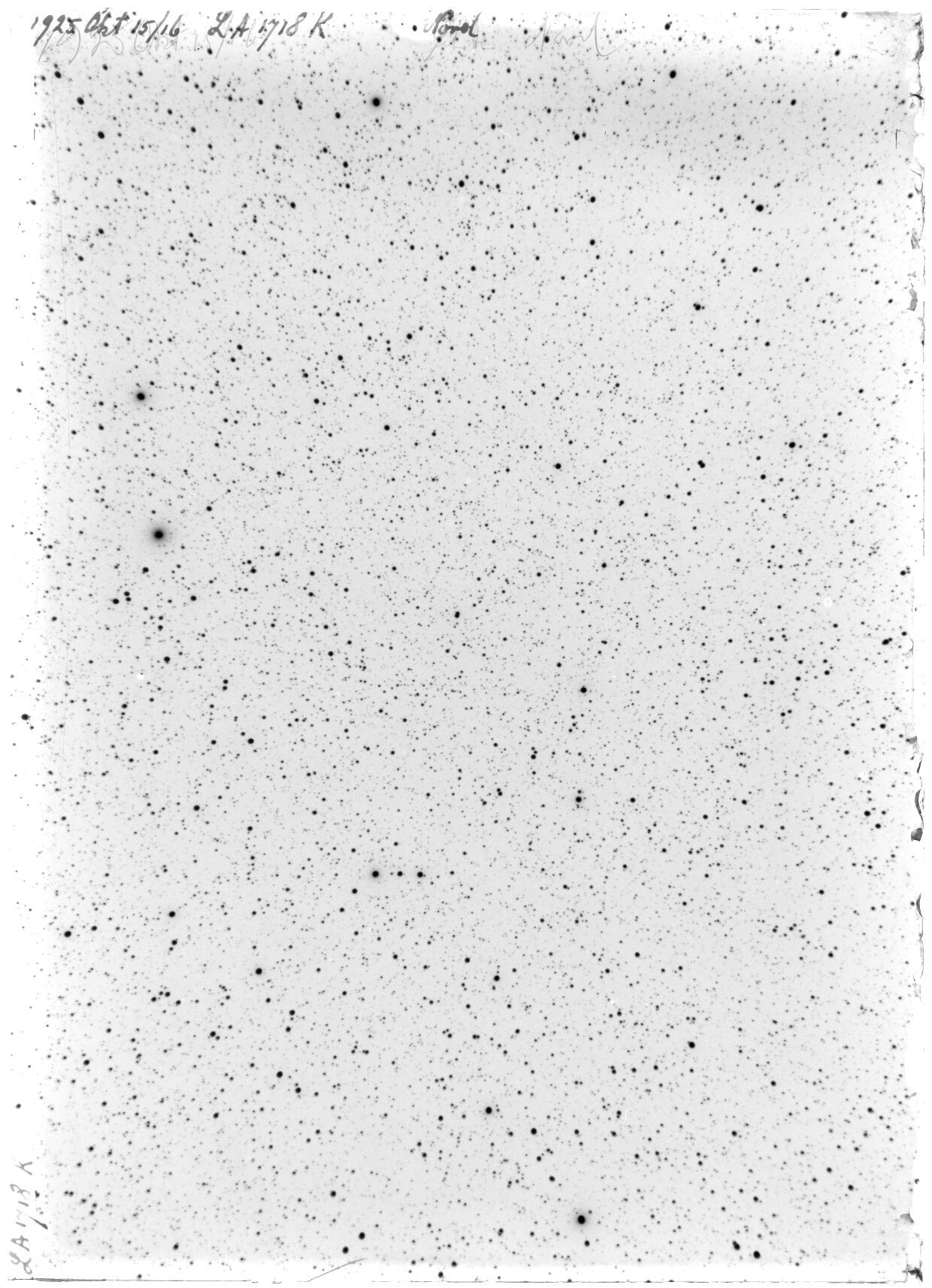 Scan LA01718