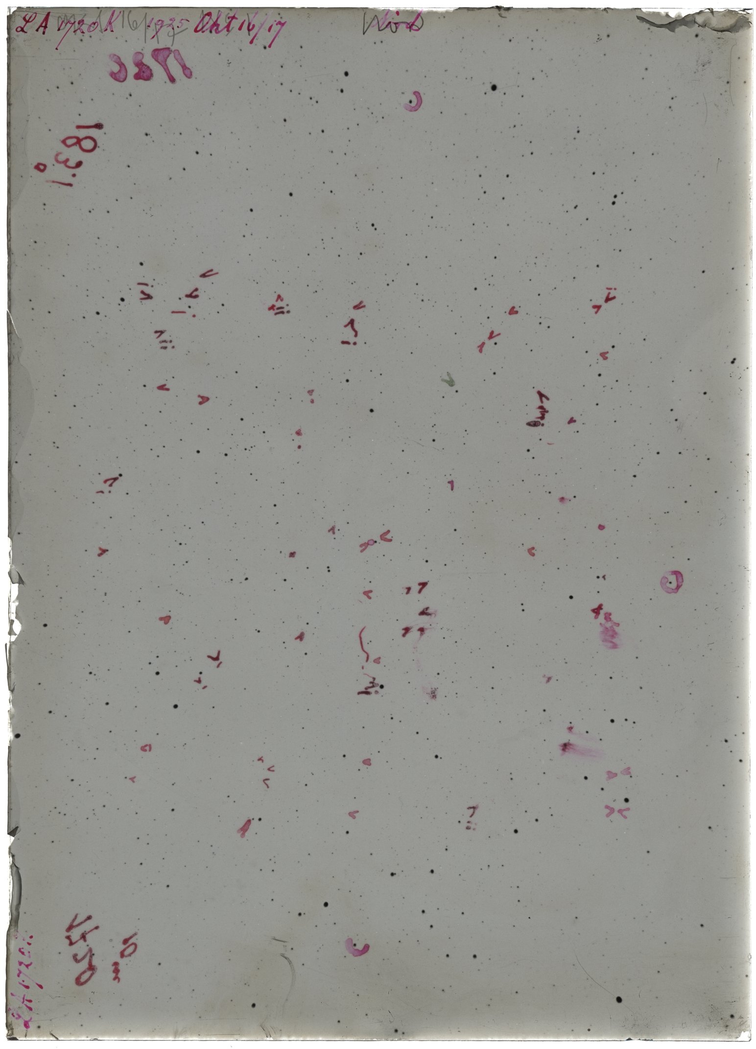 Scan LA01720