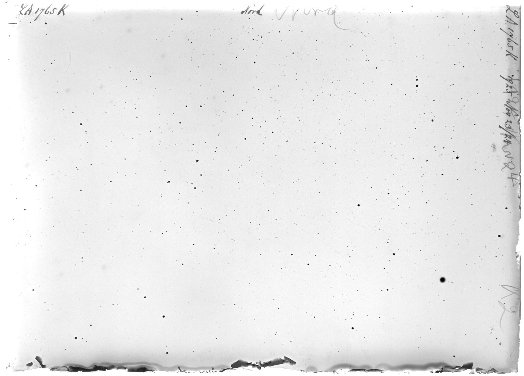 Scan LA01765