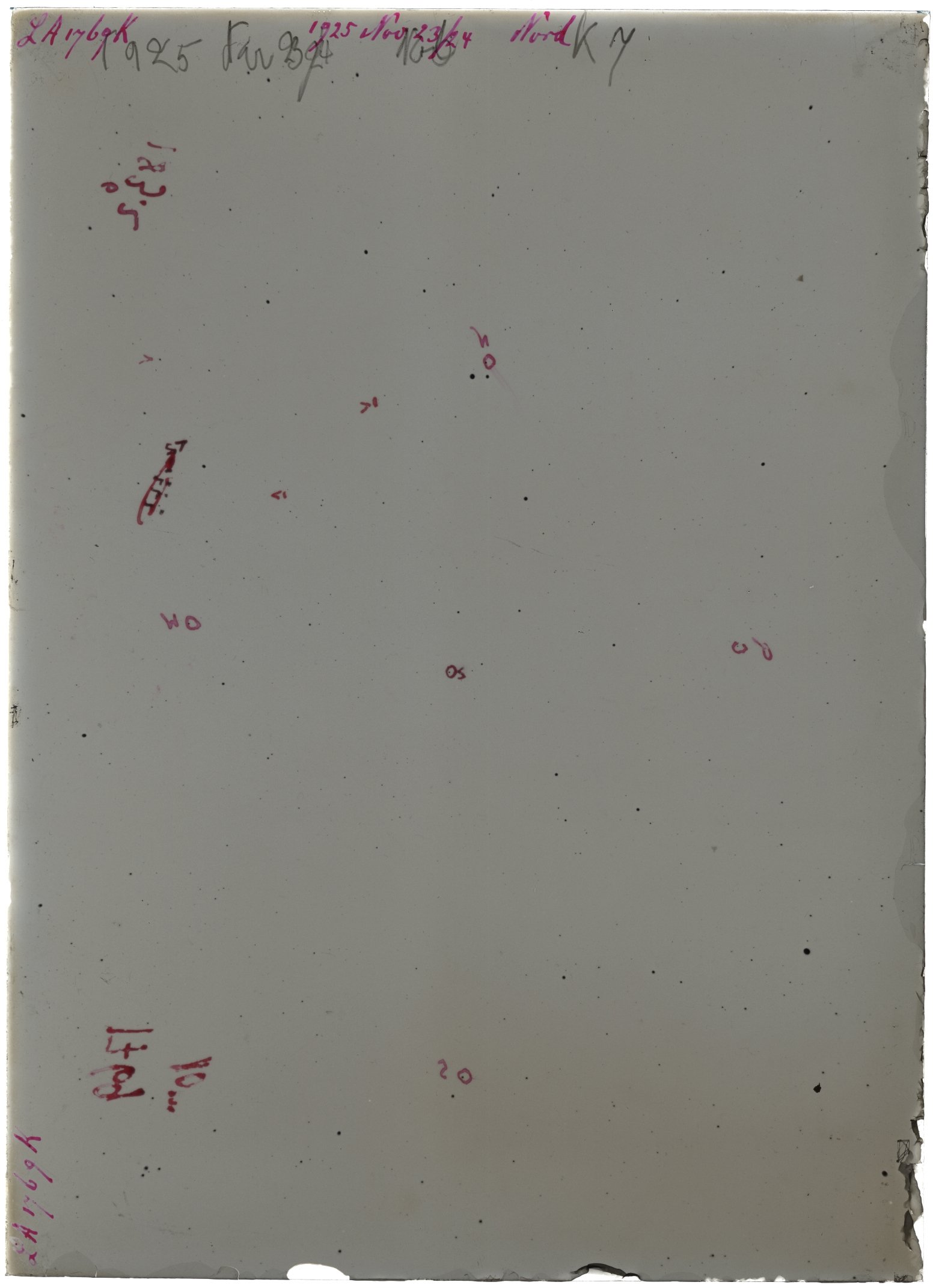 Scan LA01769