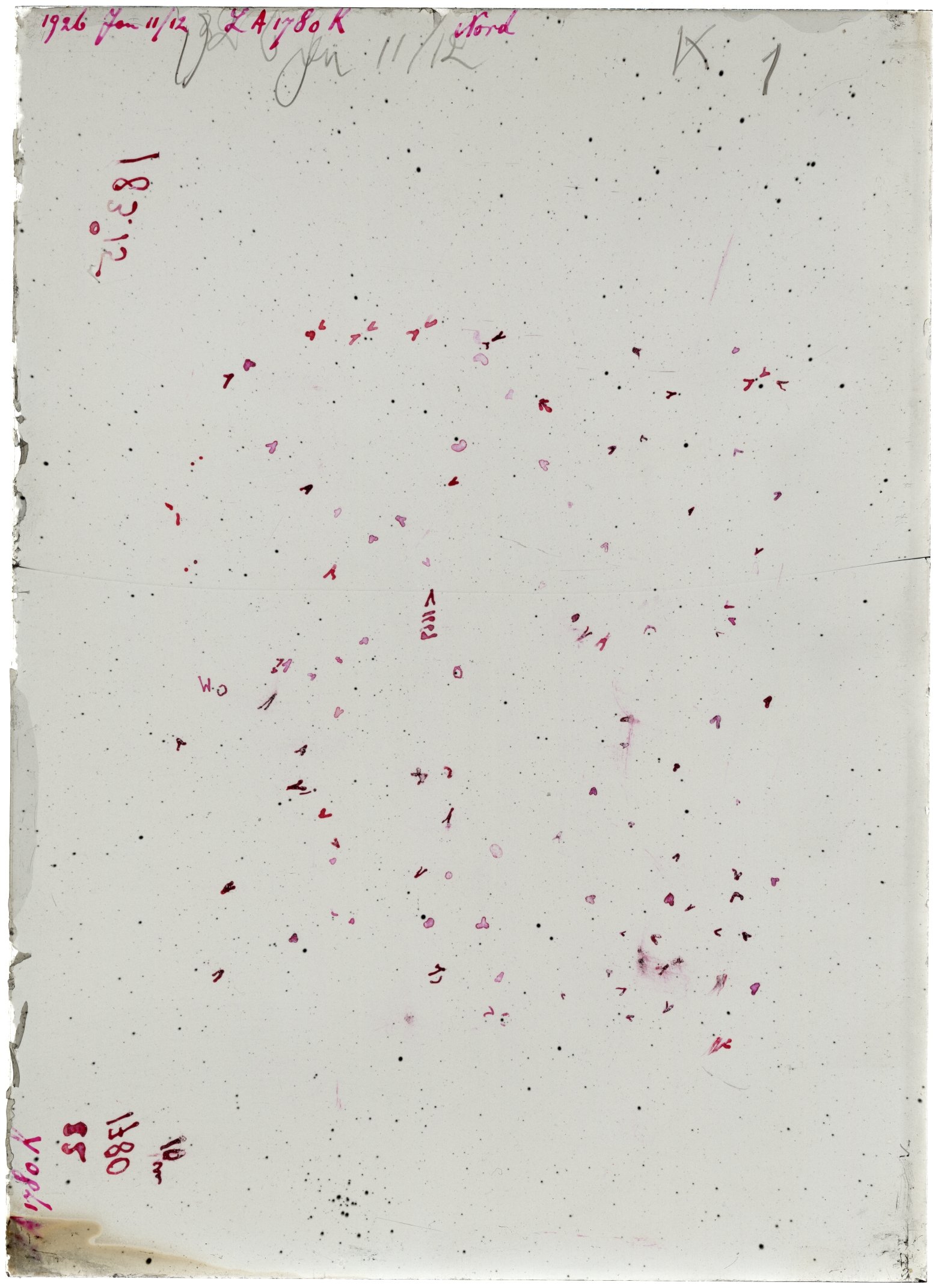 Scan LA01780