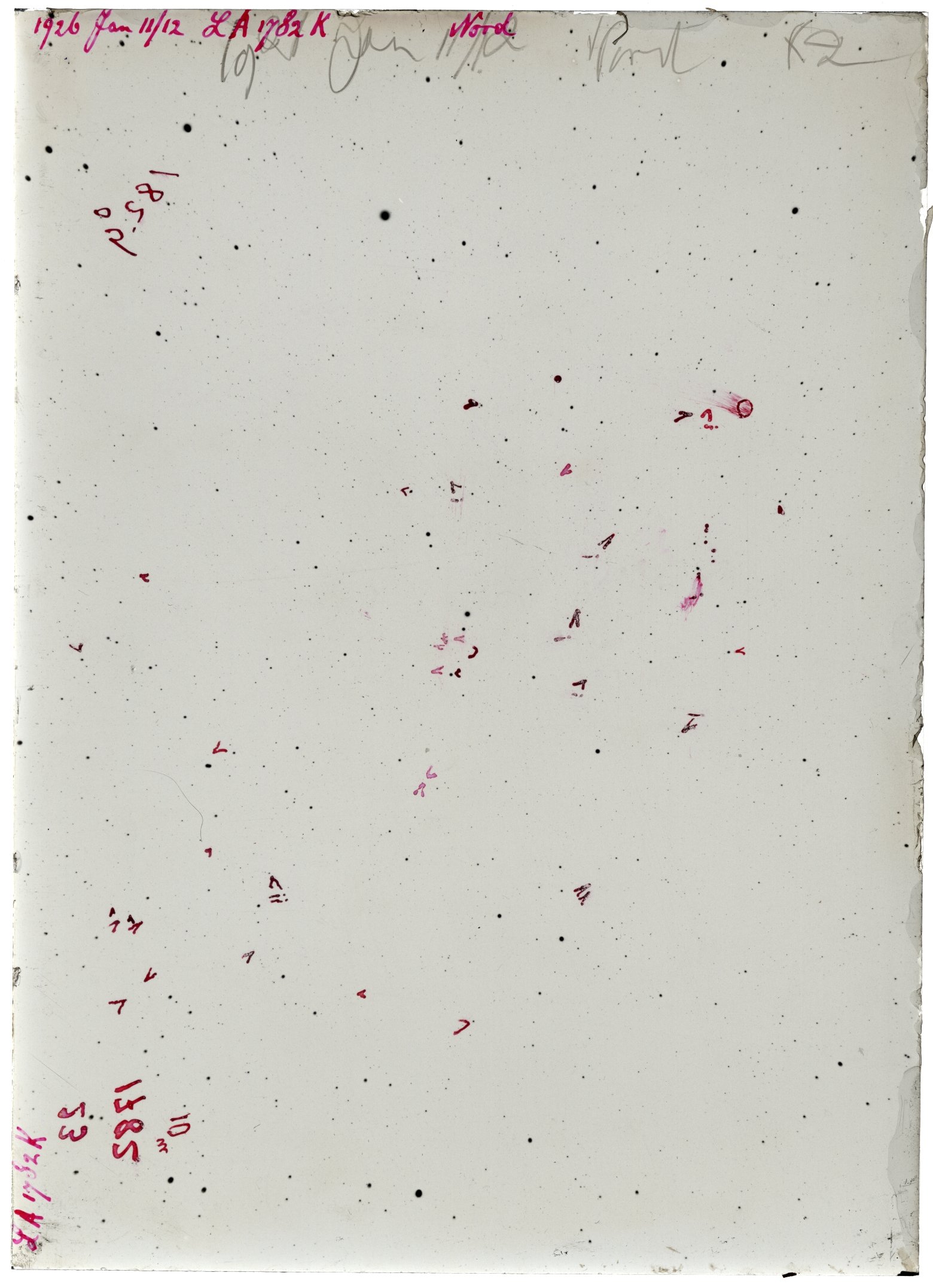 Scan LA01782