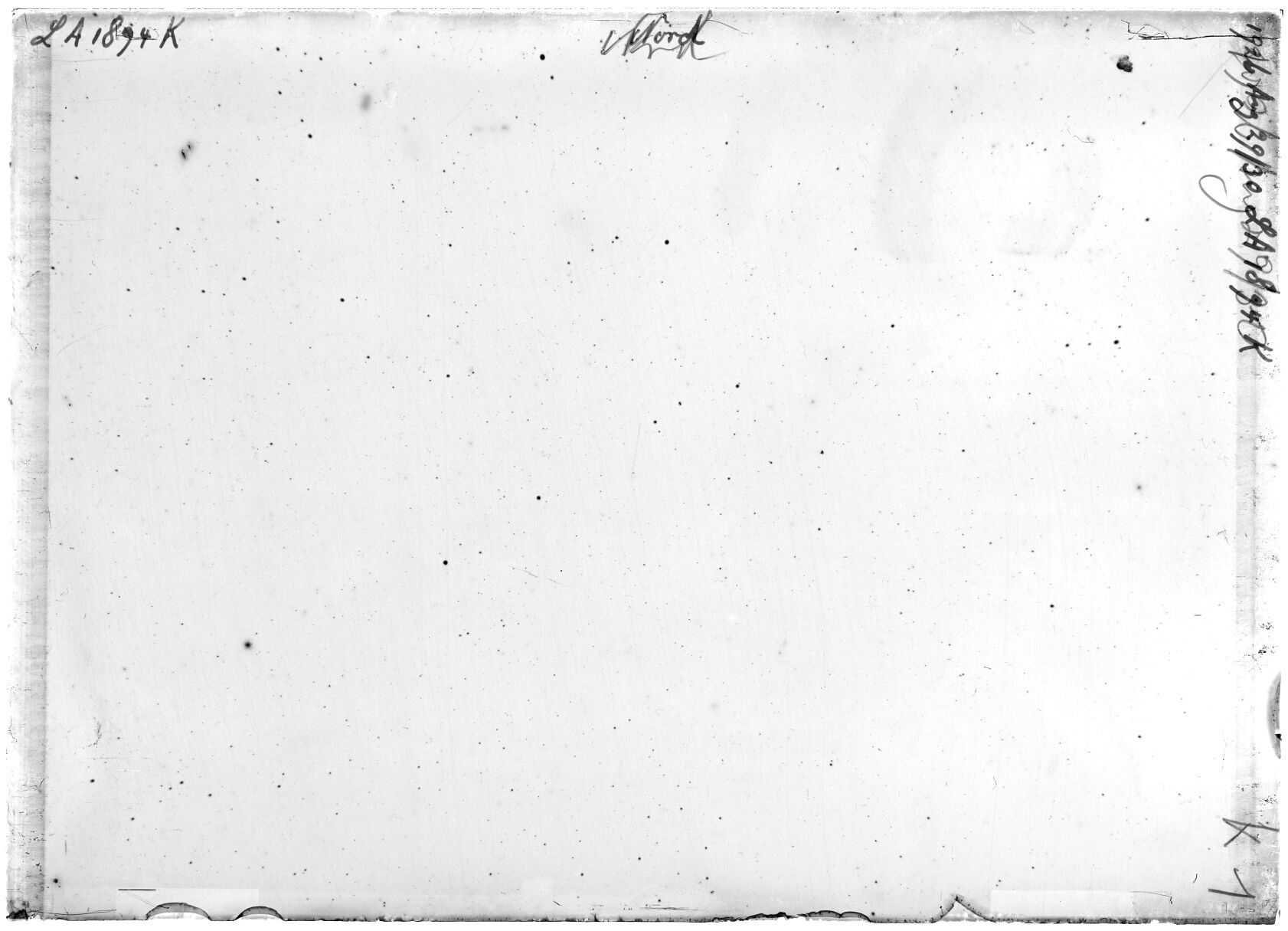 Scan LA01894