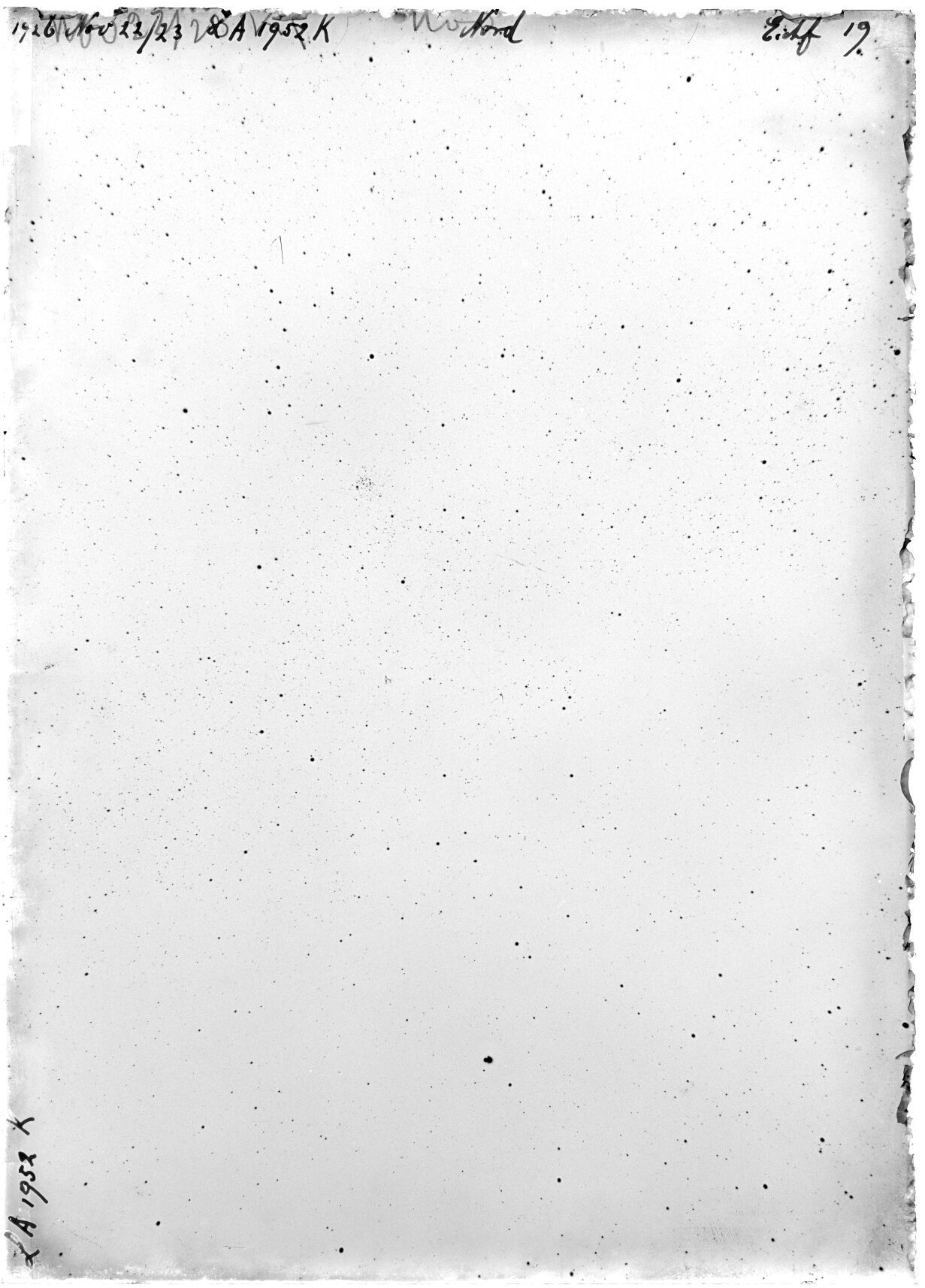 Scan LA01952