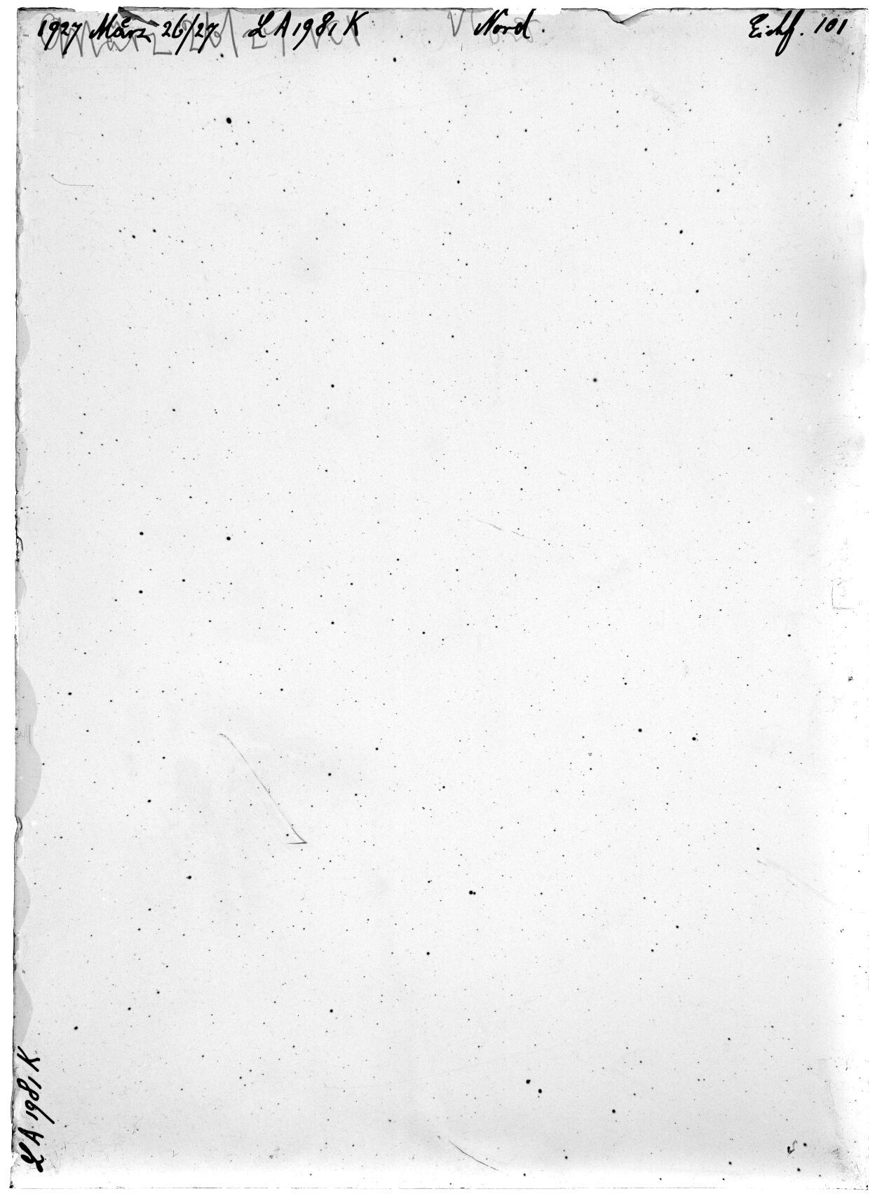 Scan LA01981