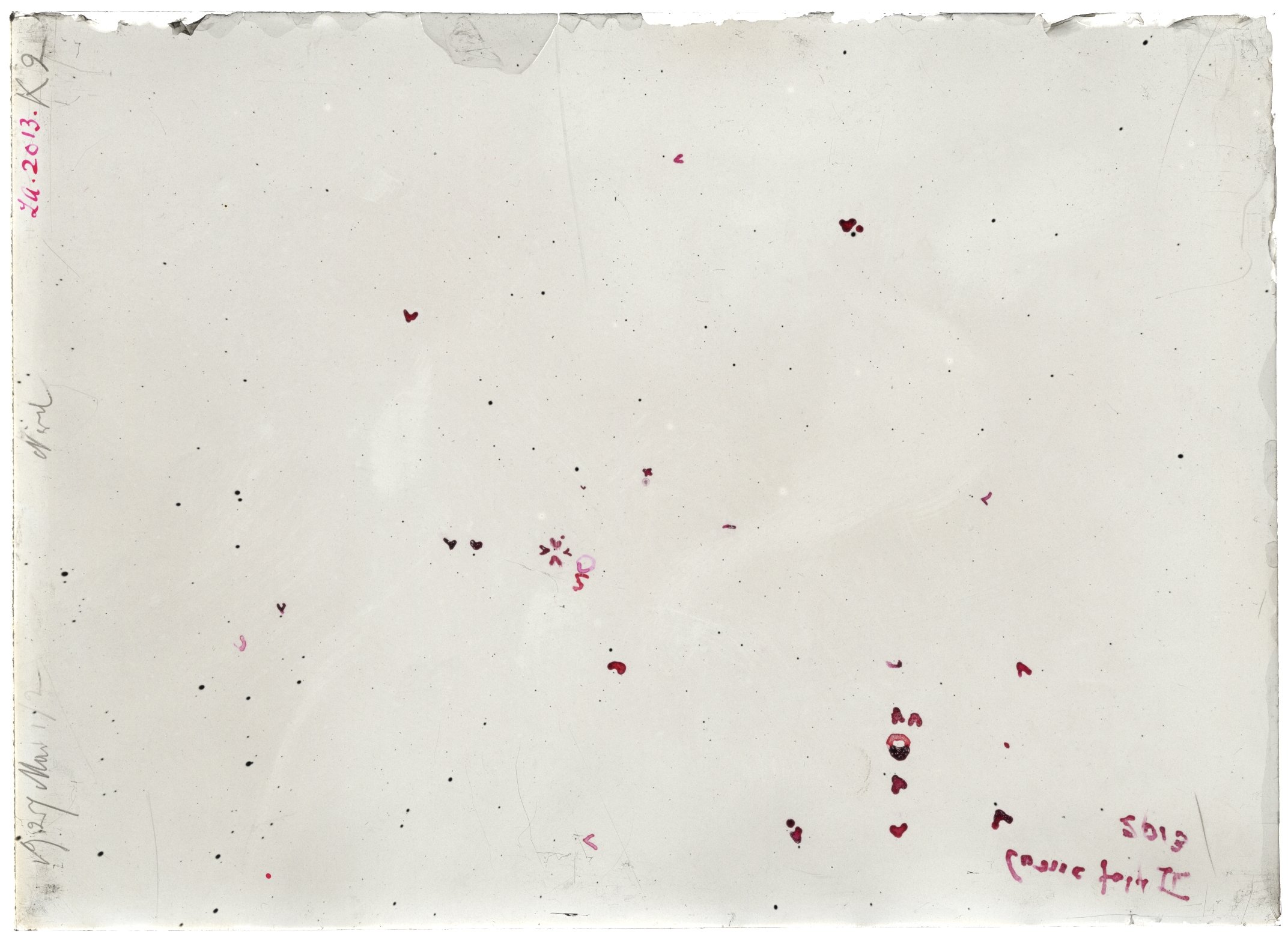 Scan LA02013