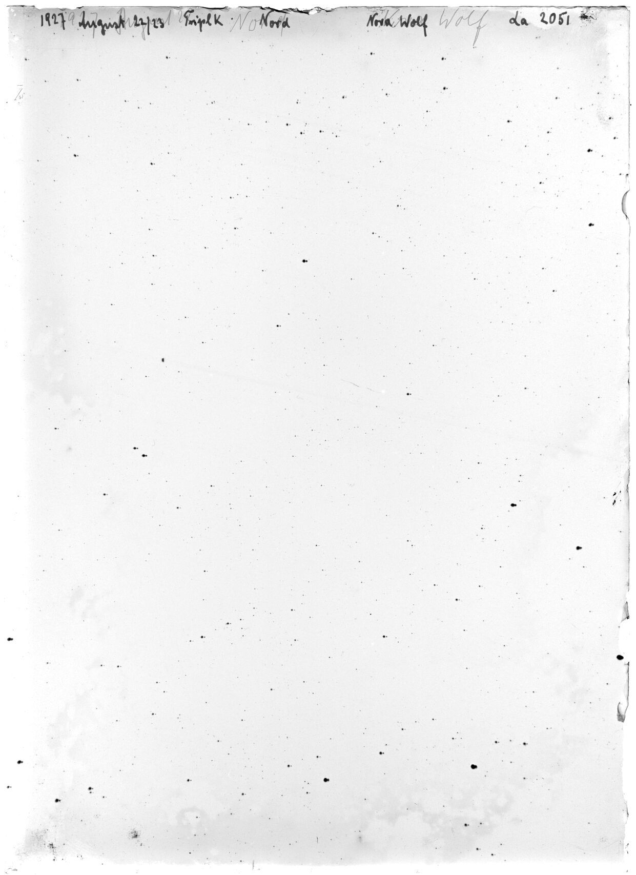 Scan LA02051