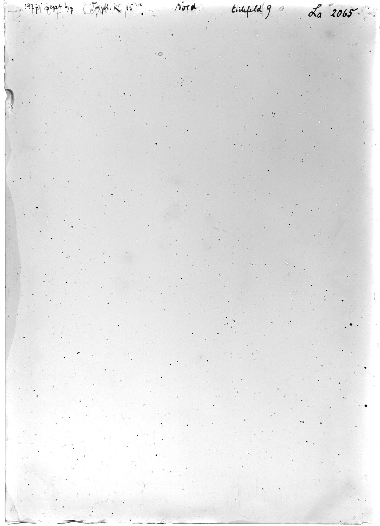Scan LA02065