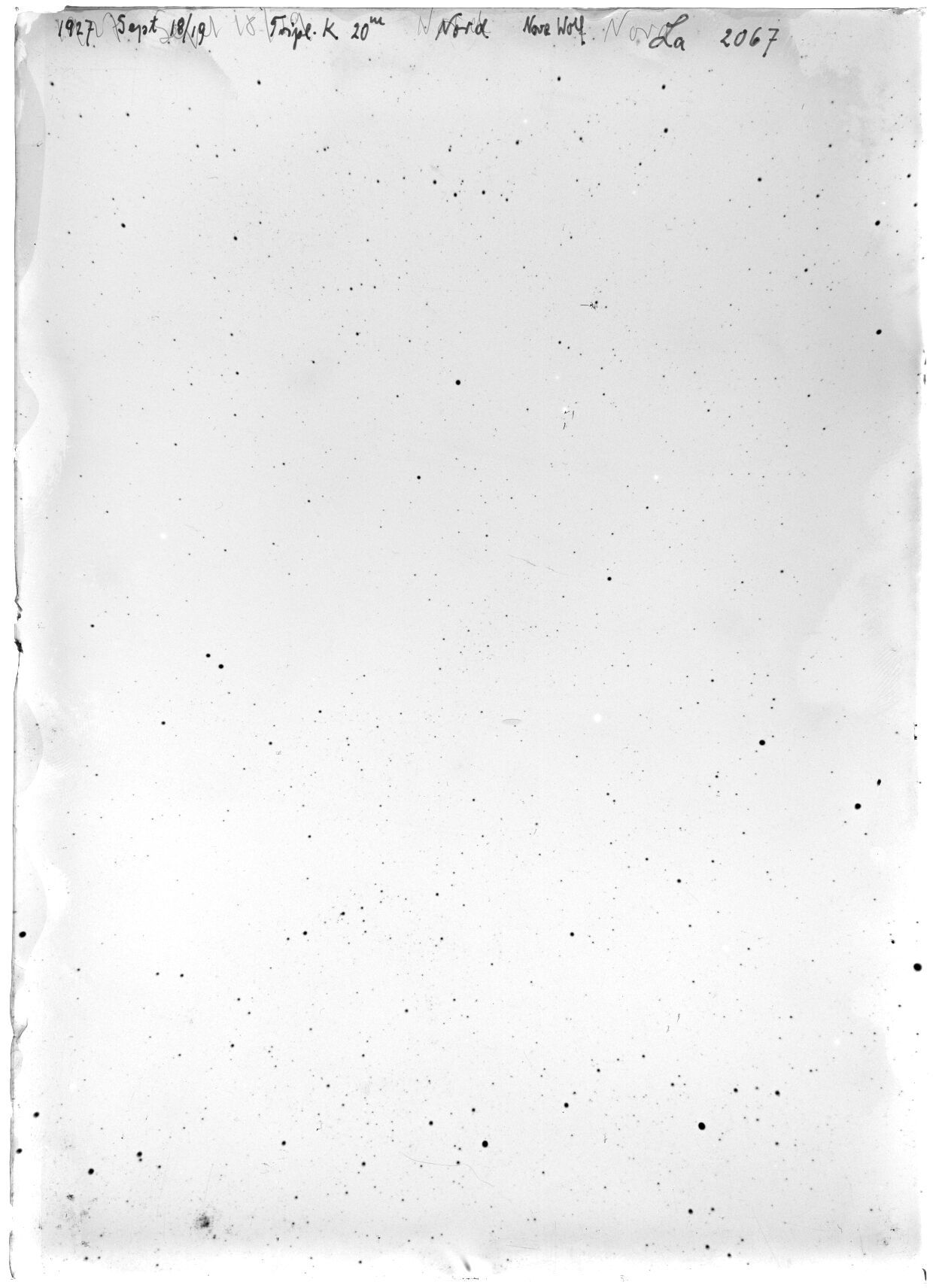 Scan LA02067